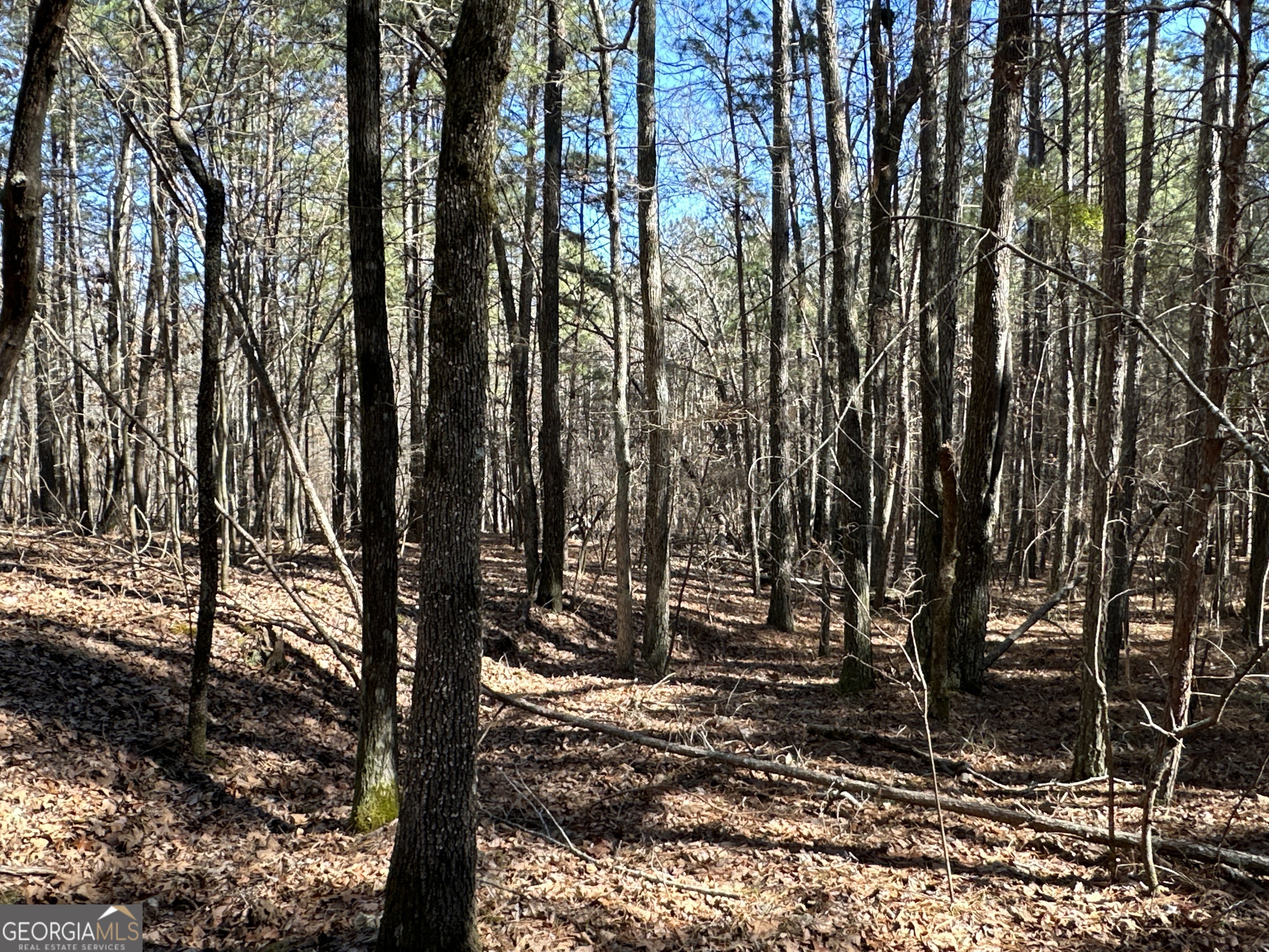 3472 Prior Station Road Cedartown GA 30125