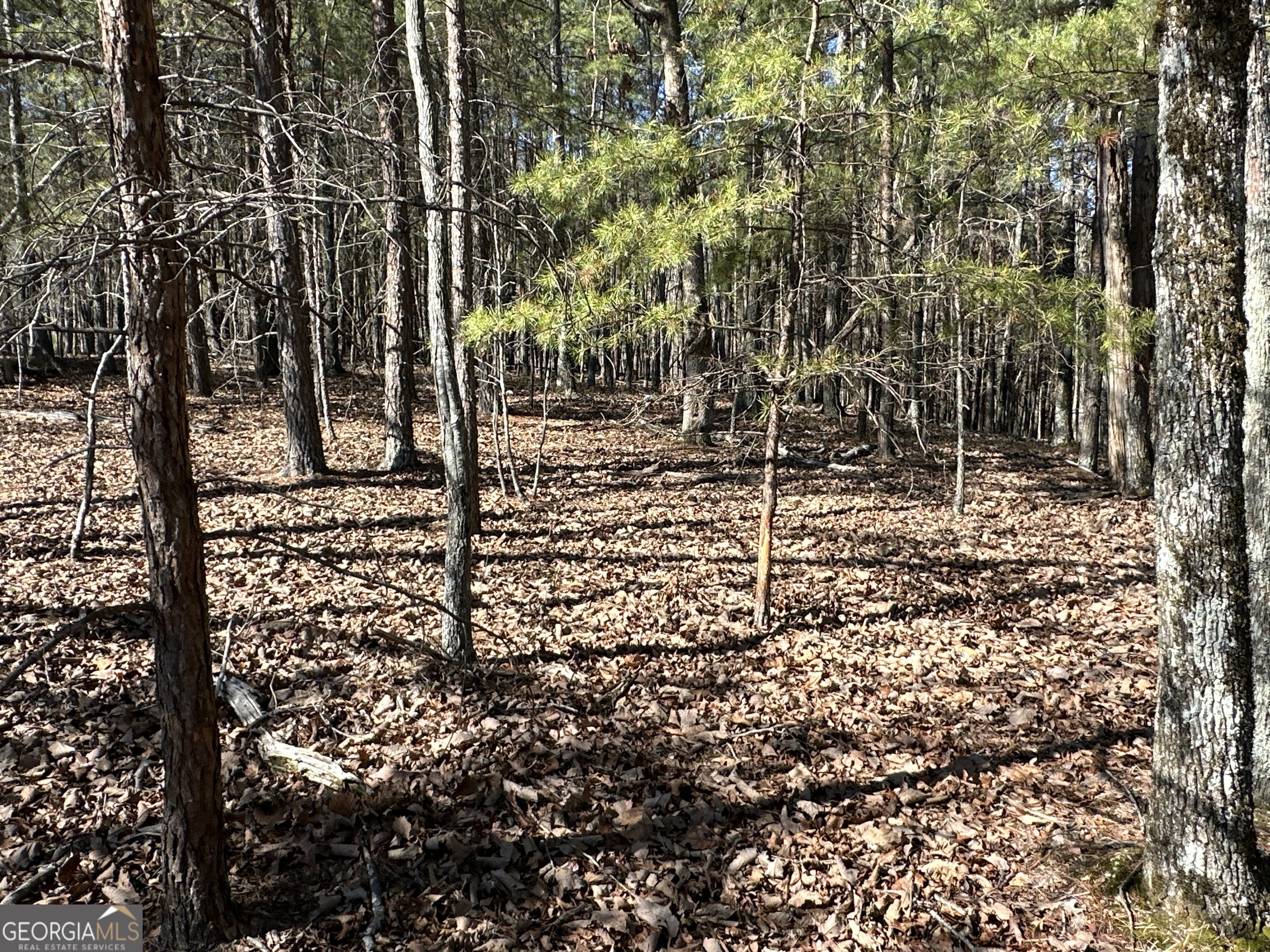 3472 Prior Station Road Cedartown GA 30125