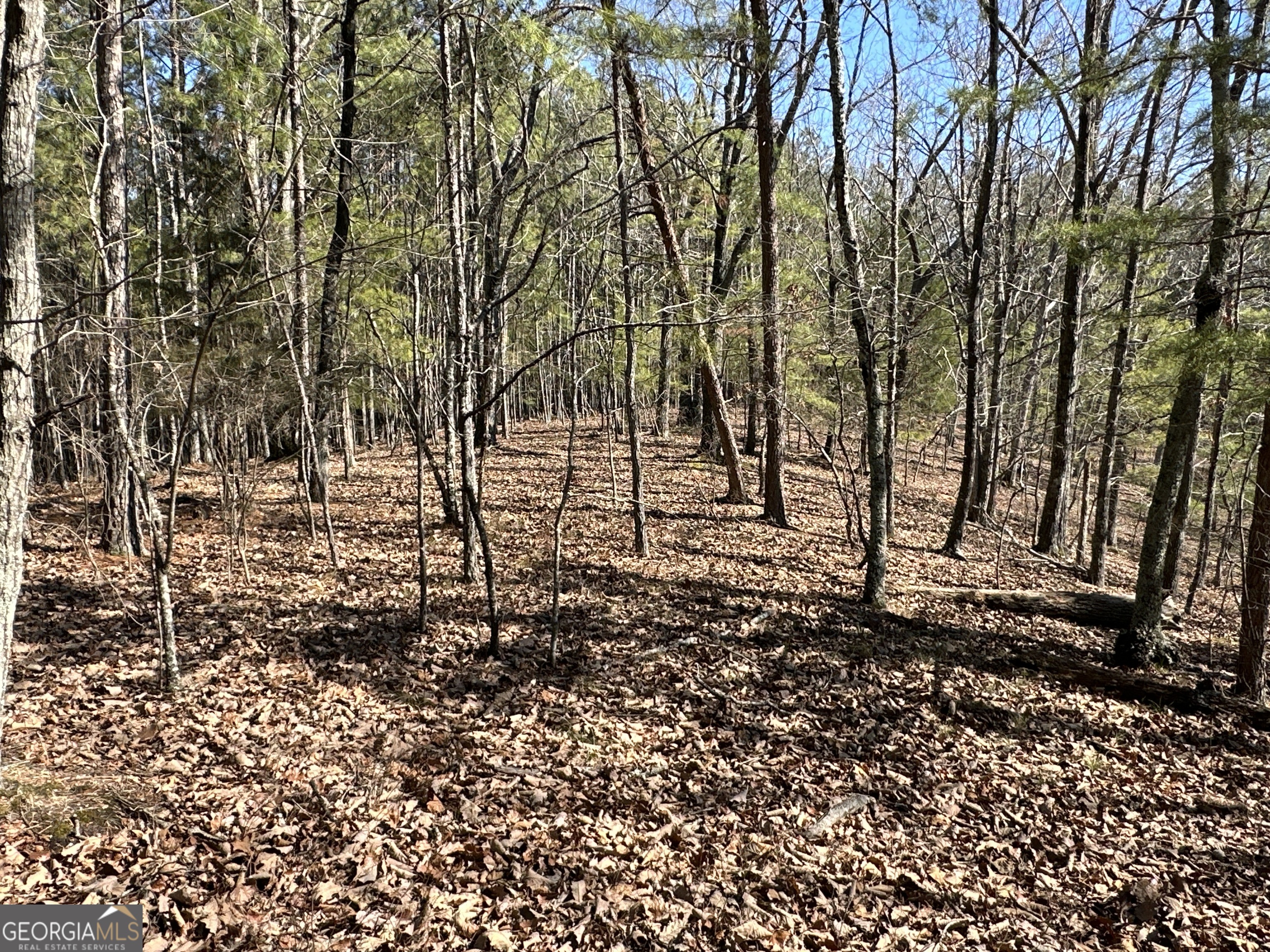 3472 Prior Station Road Cedartown GA 30125
