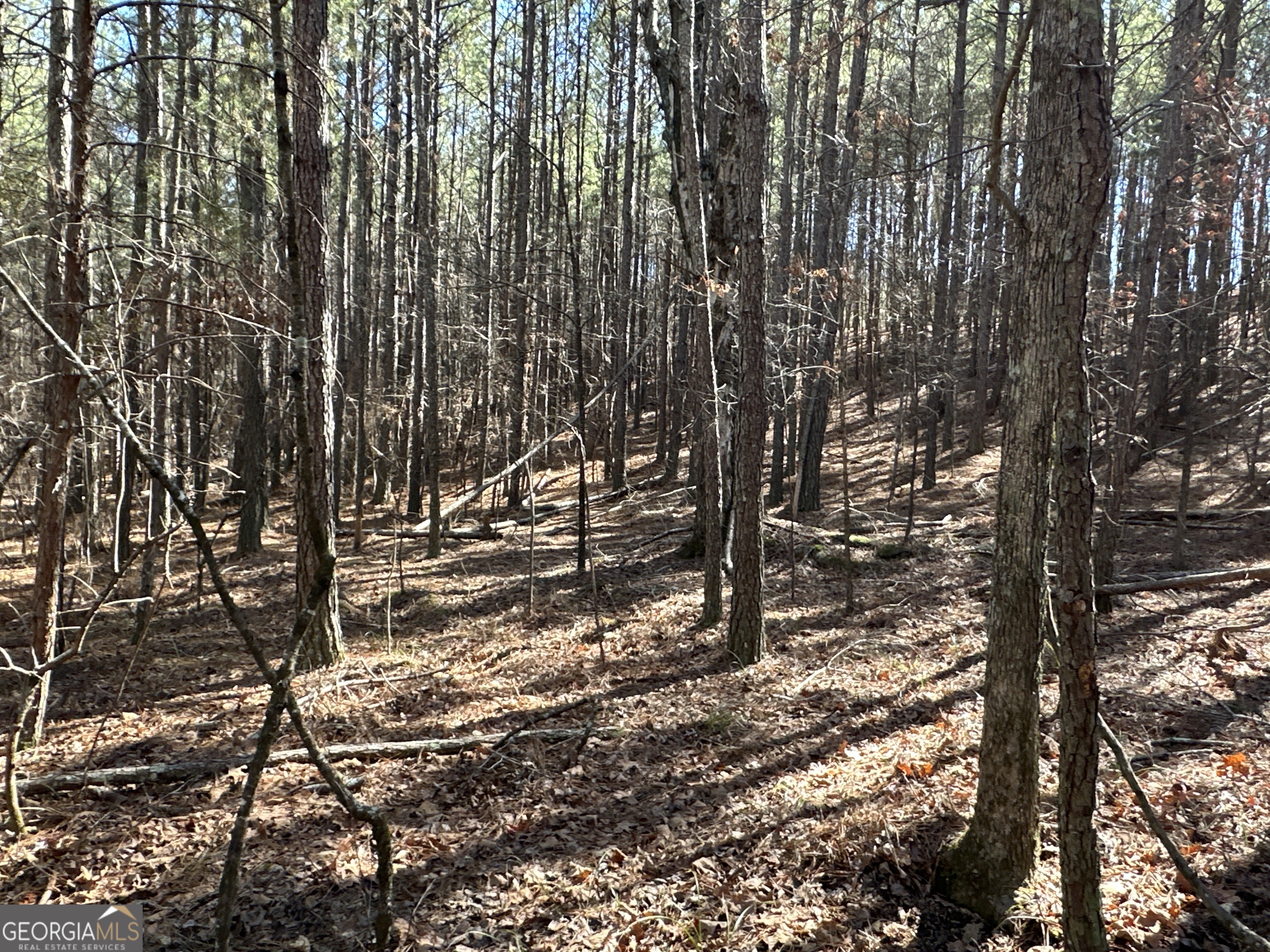 3472 Prior Station Road Cedartown GA 30125