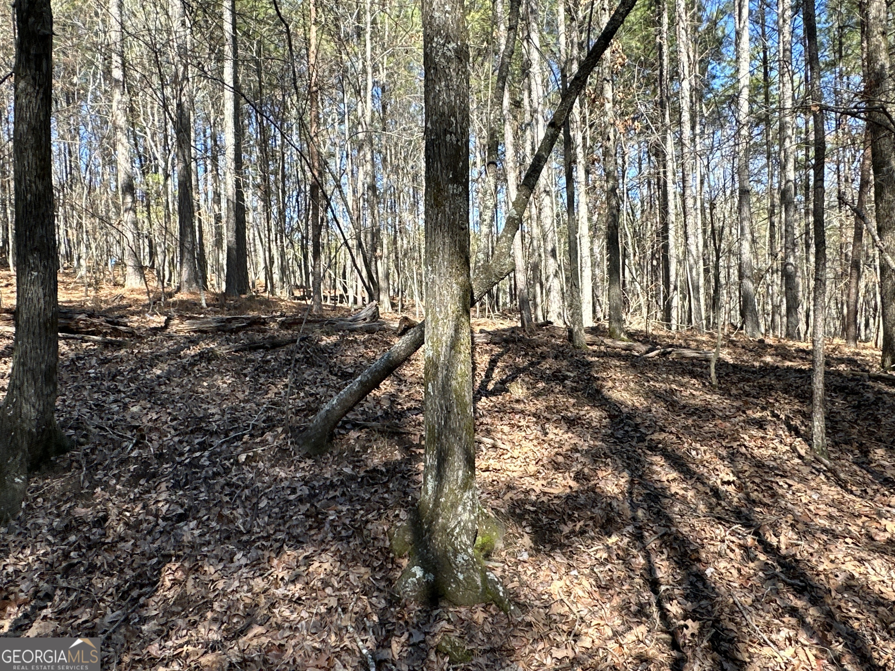 3472 Prior Station Road Cedartown GA 30125