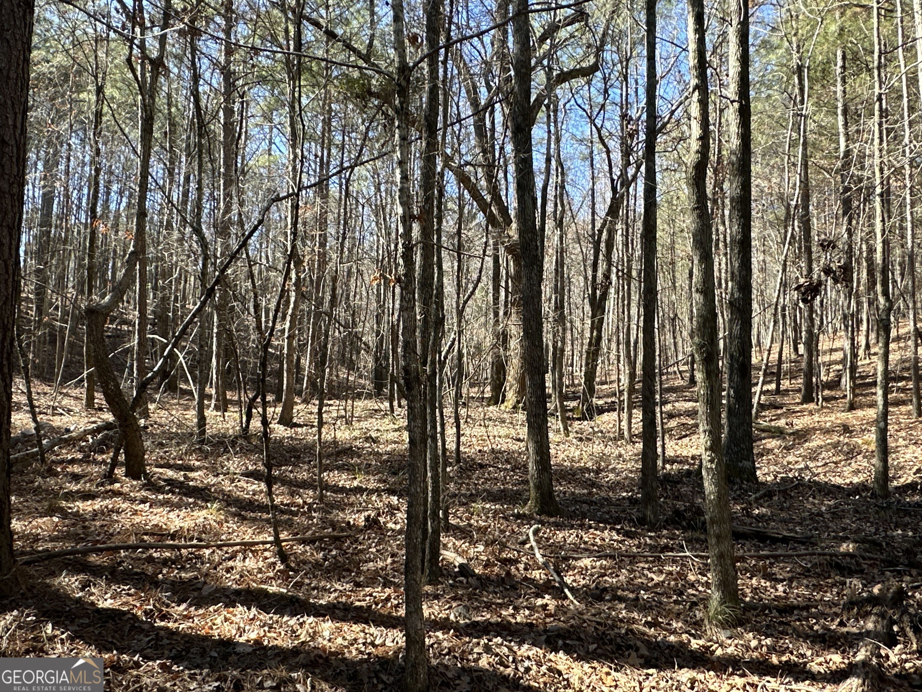 3472 Prior Station Road Cedartown GA 30125