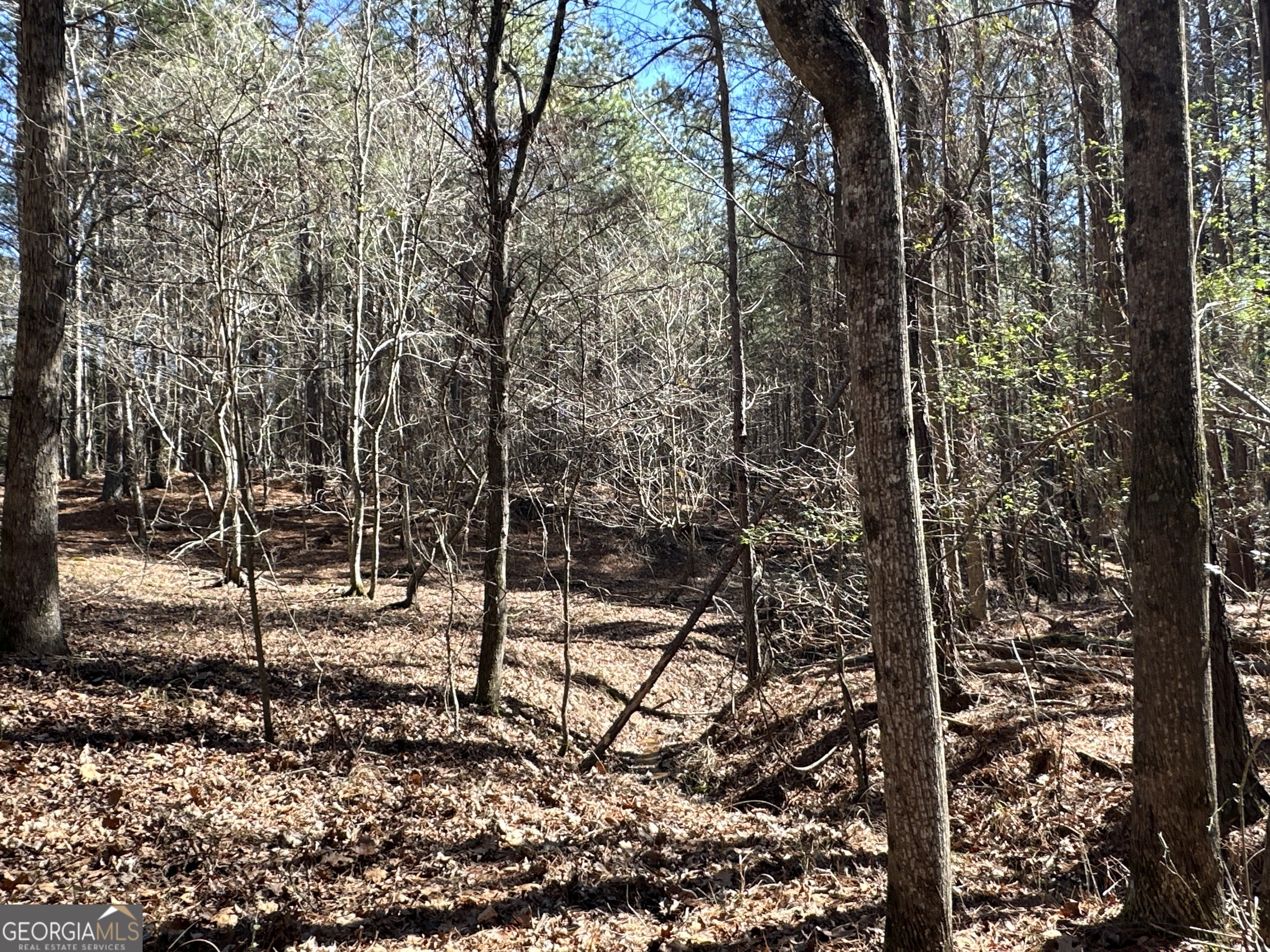 3472 Prior Station Road Cedartown GA 30125