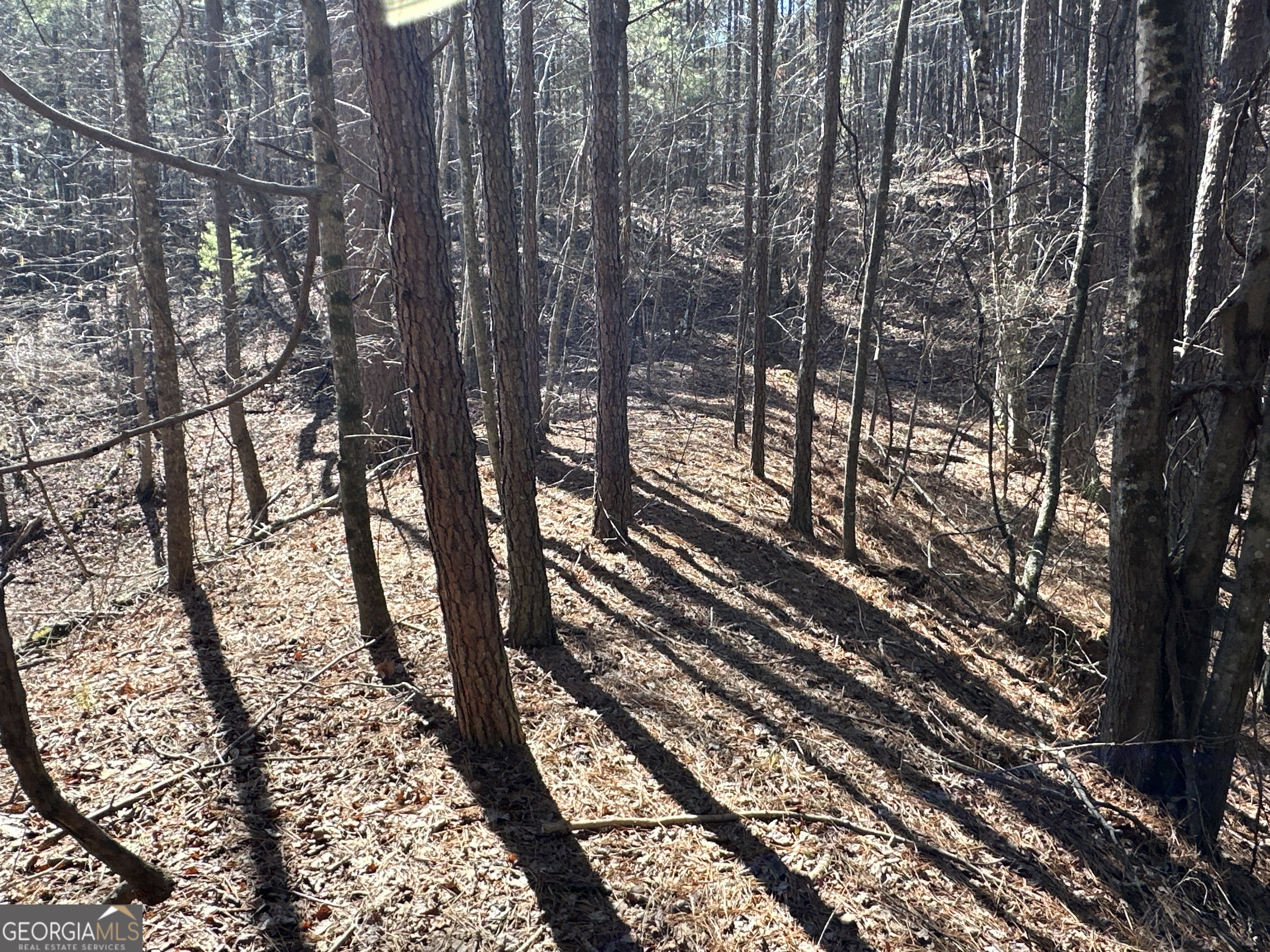 3472 Prior Station Road Cedartown GA 30125