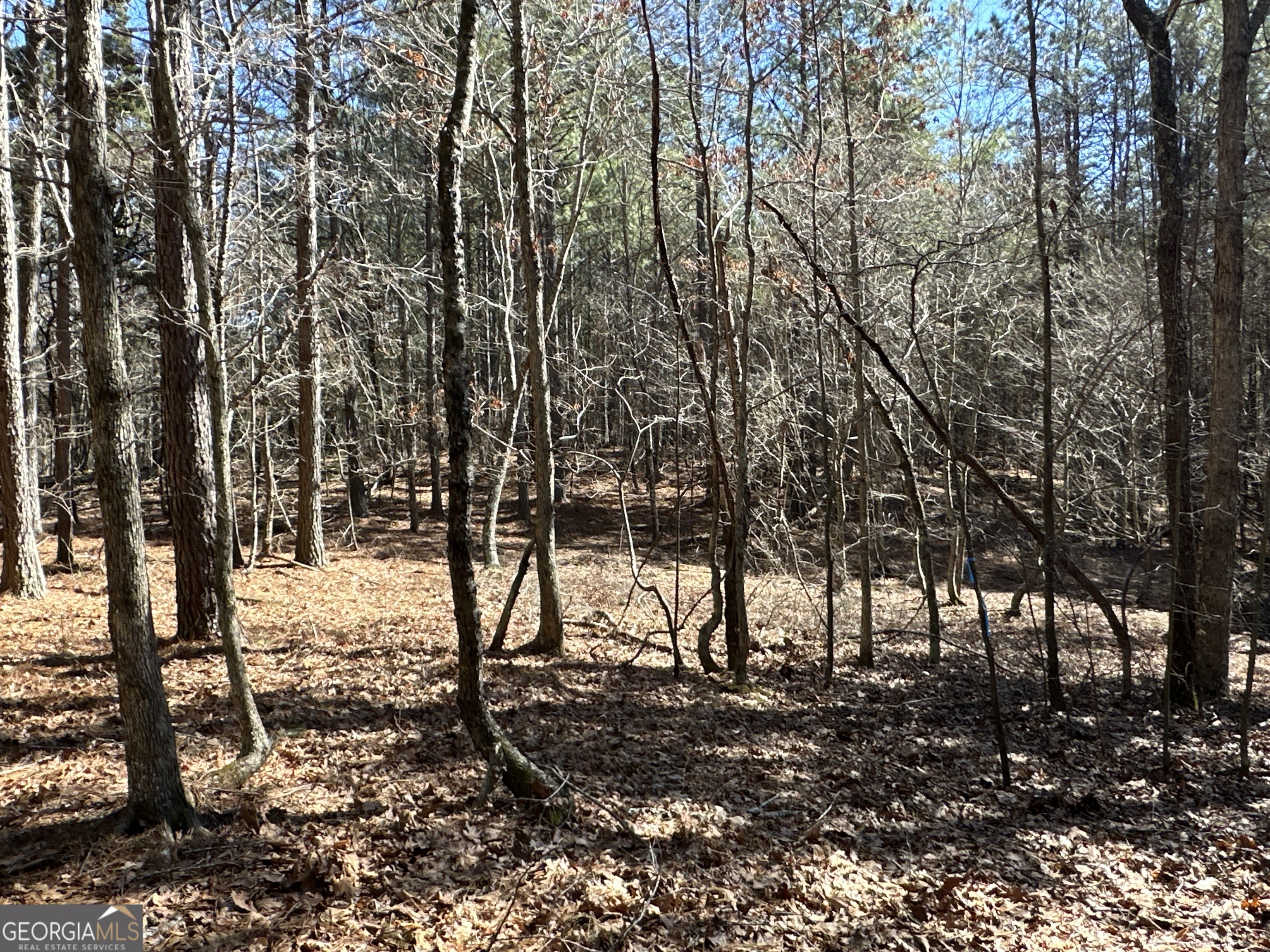 3472 Prior Station Road Cedartown GA 30125