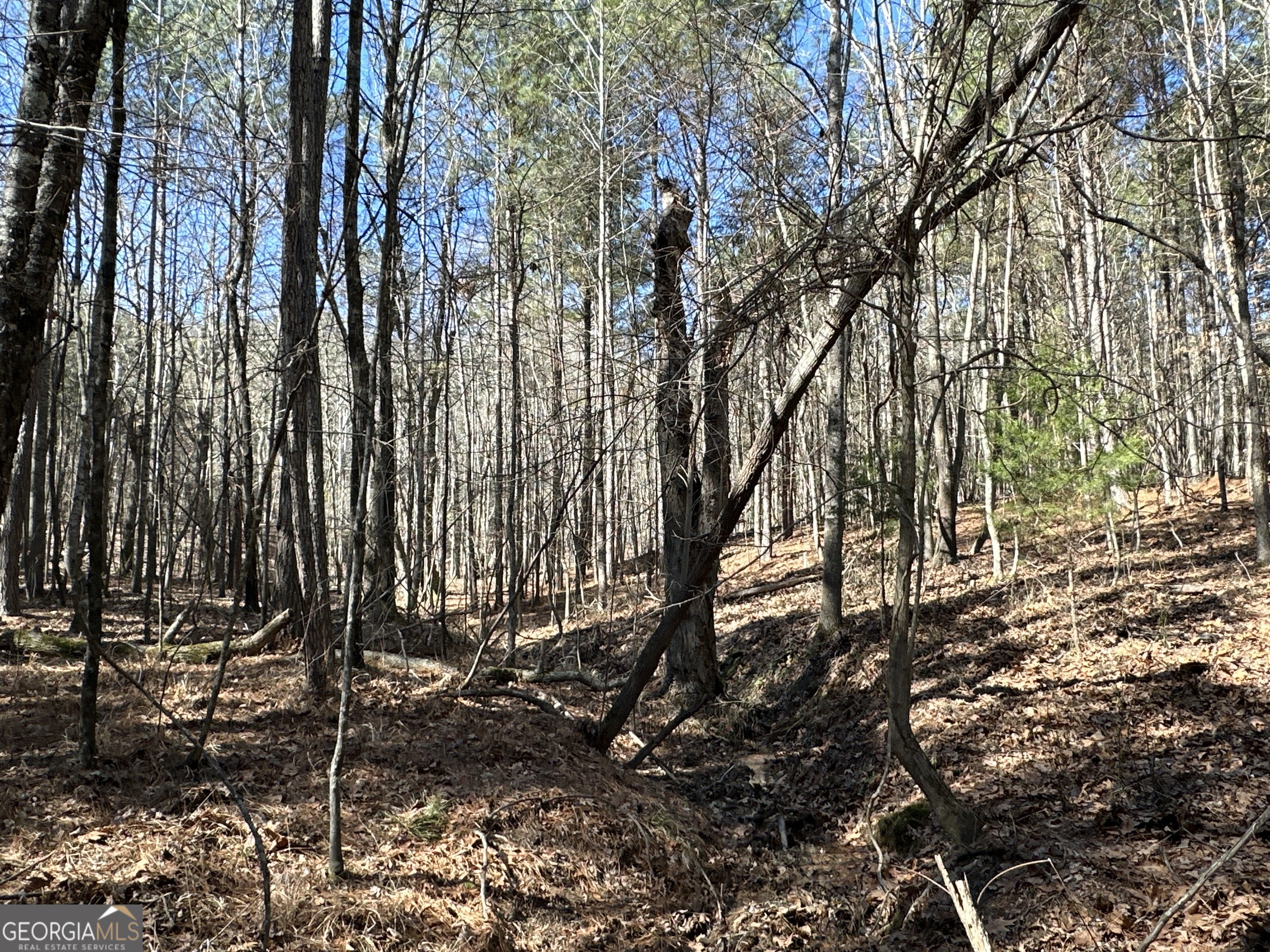 3472 Prior Station Road Cedartown GA 30125