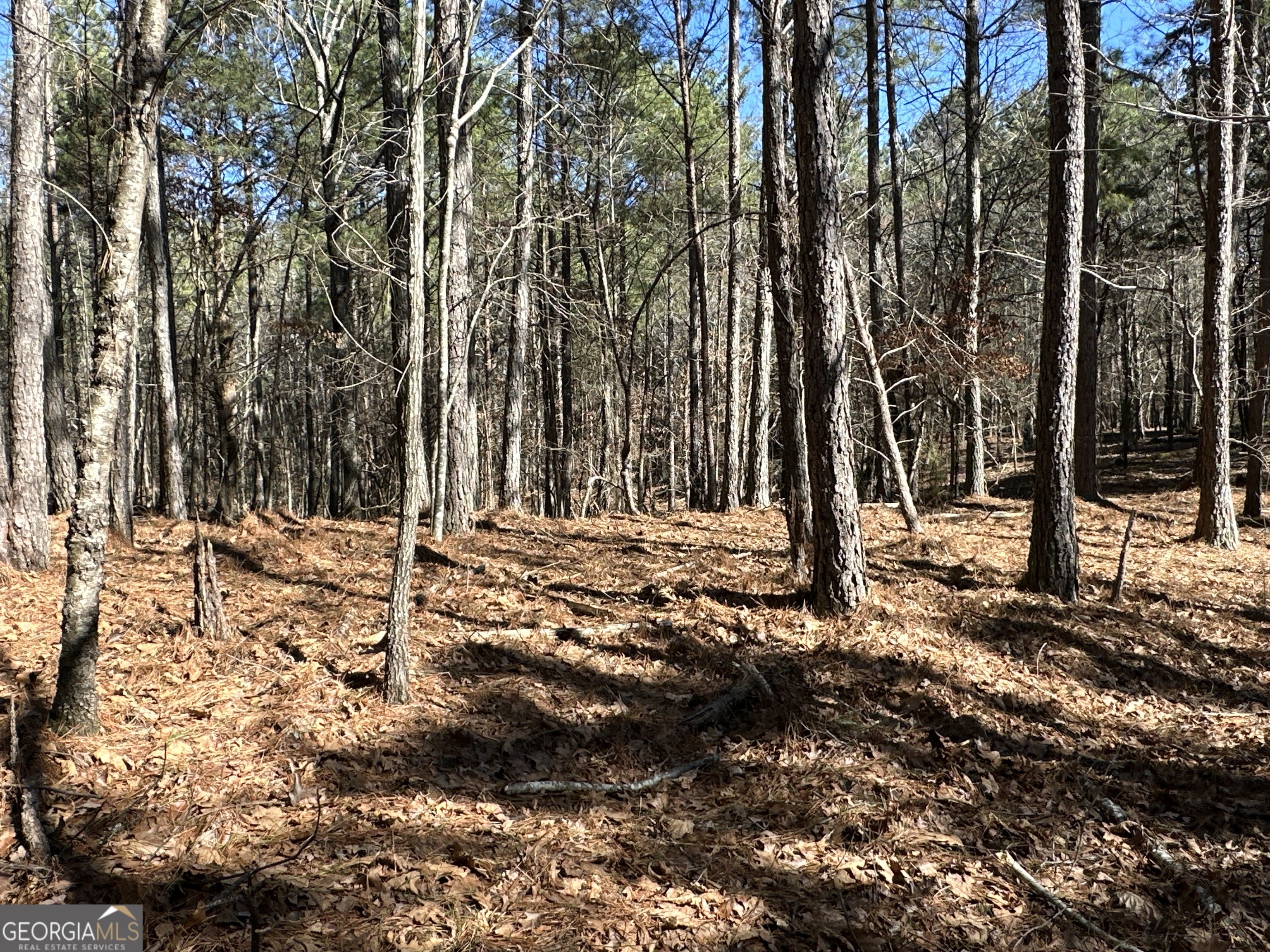 3472 Prior Station Road Cedartown GA 30125