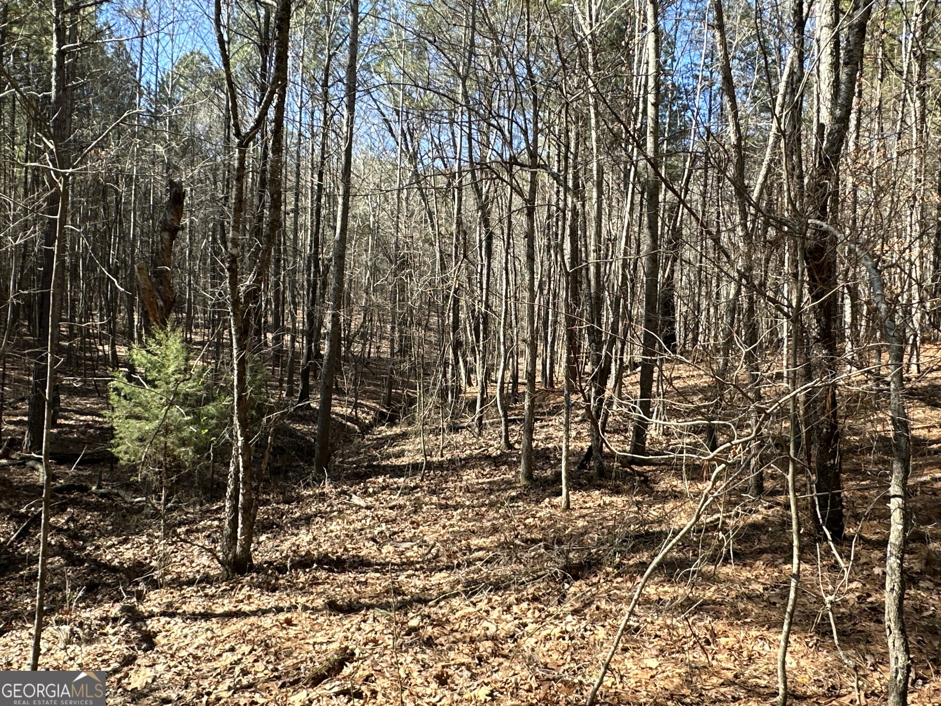 3472 Prior Station Road Cedartown GA 30125