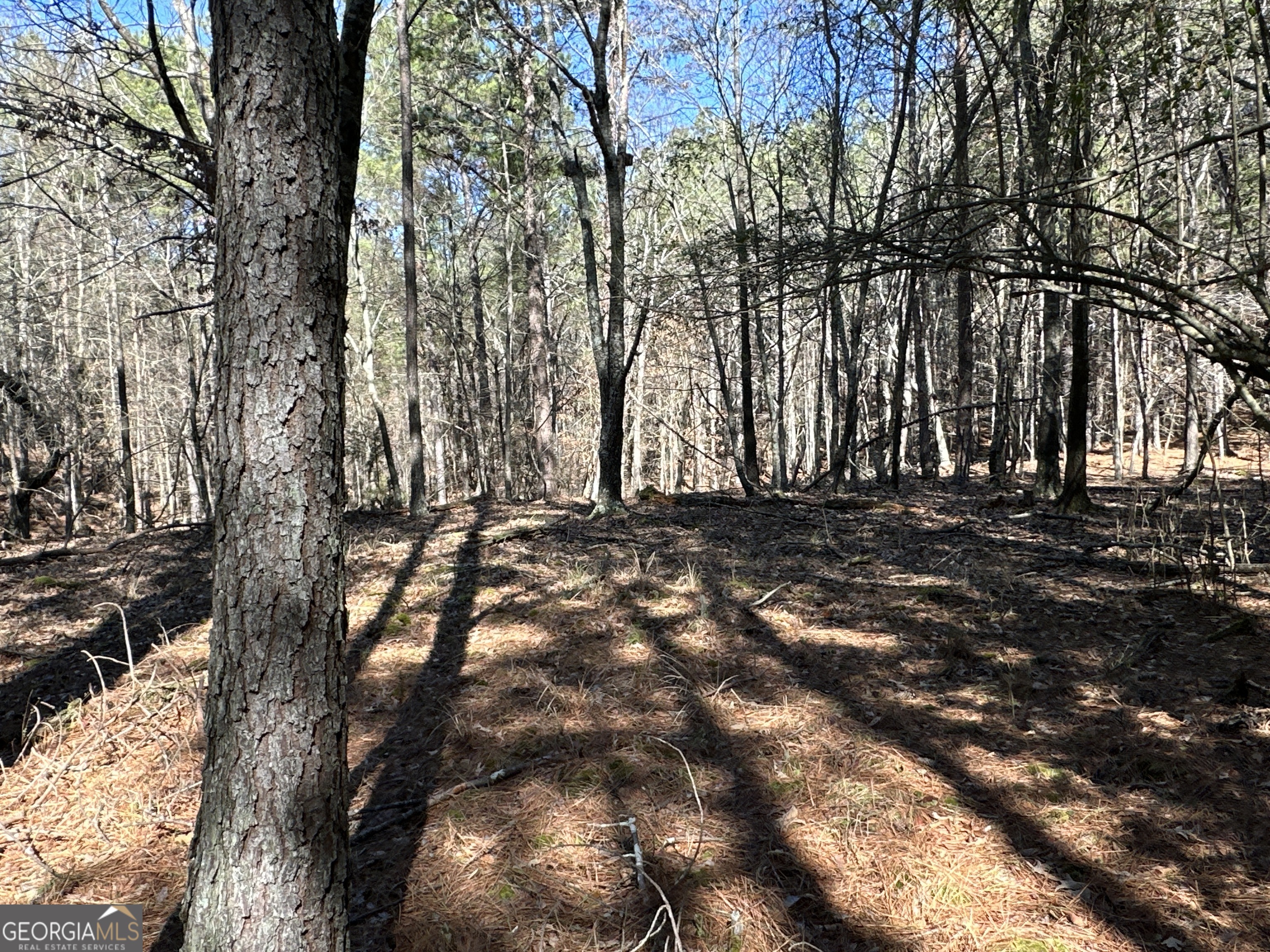 3472 Prior Station Road Cedartown GA 30125