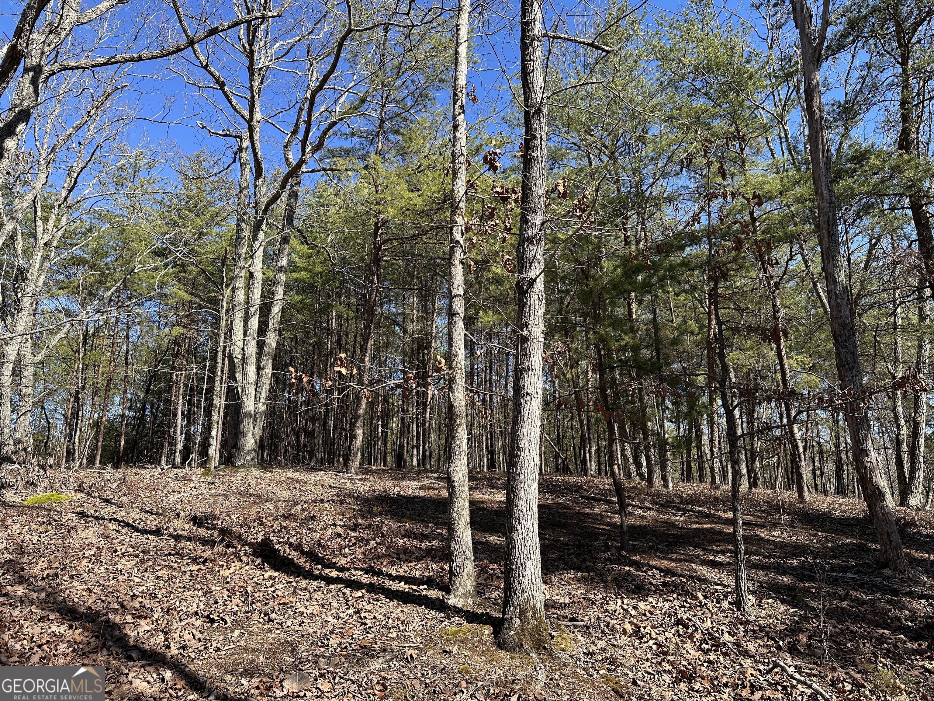 3472 Prior Station Road Cedartown GA 30125