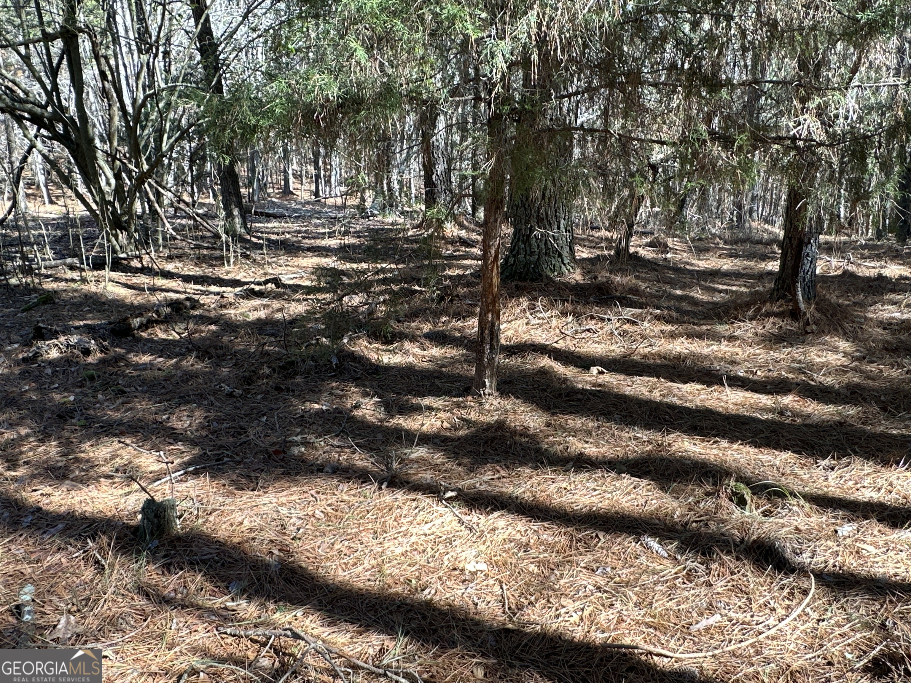 3472 Prior Station Road Cedartown GA 30125