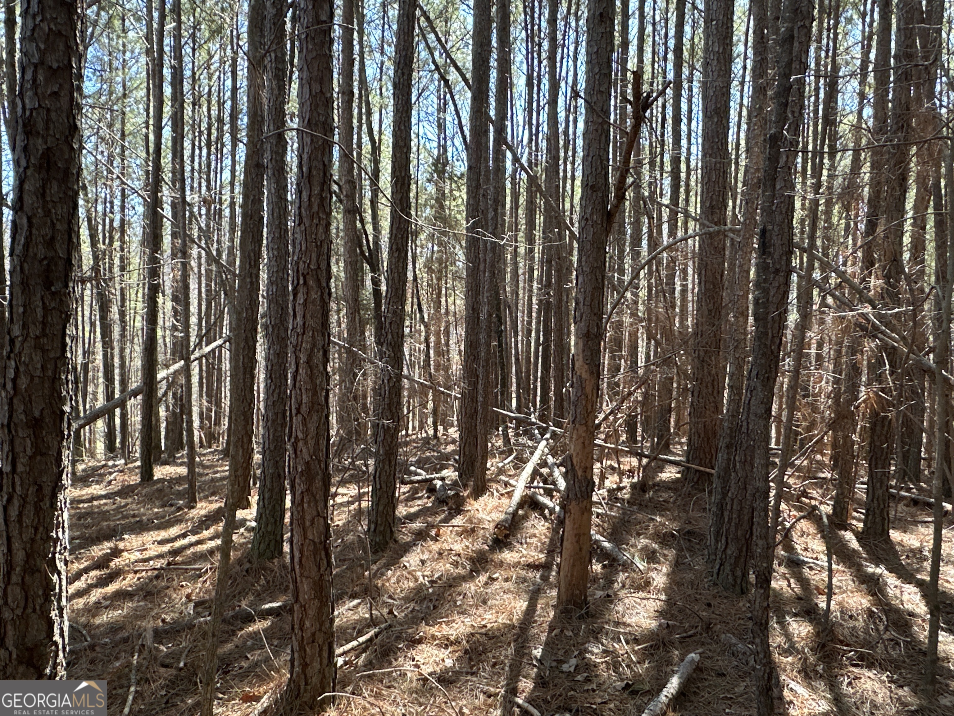 3472 Prior Station Road Cedartown GA 30125