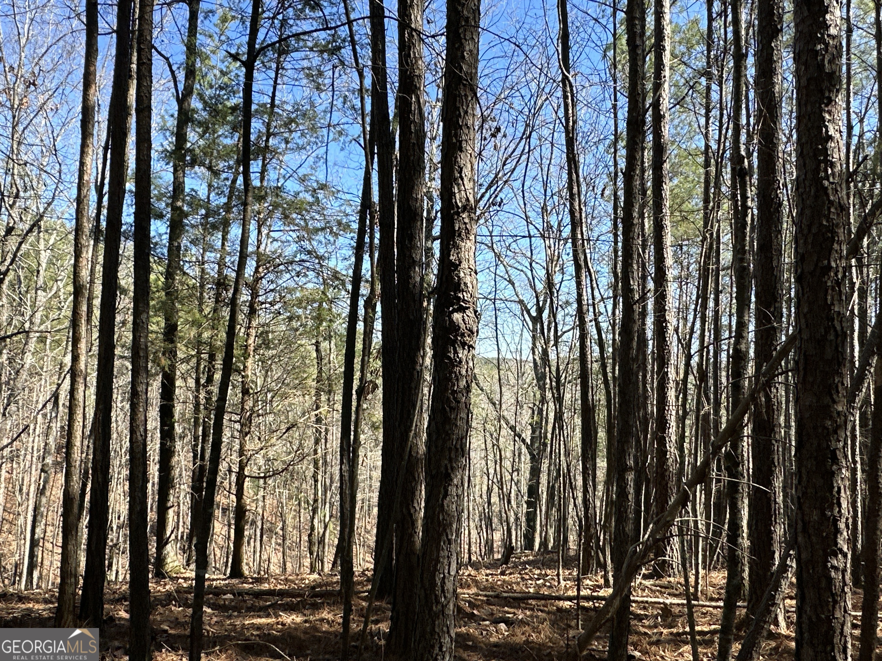 3472 Prior Station Road Cedartown GA 30125