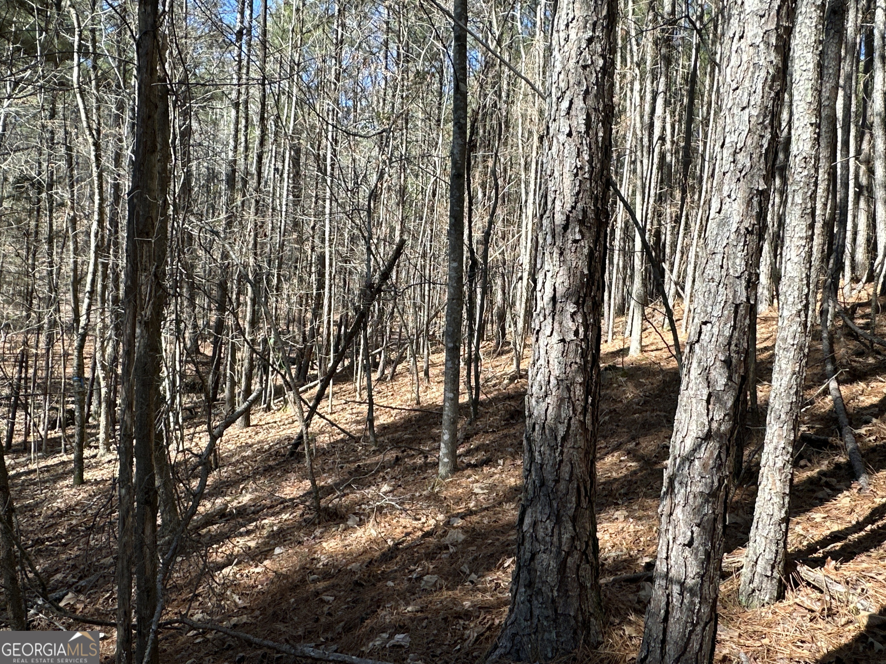 3472 Prior Station Road Cedartown GA 30125