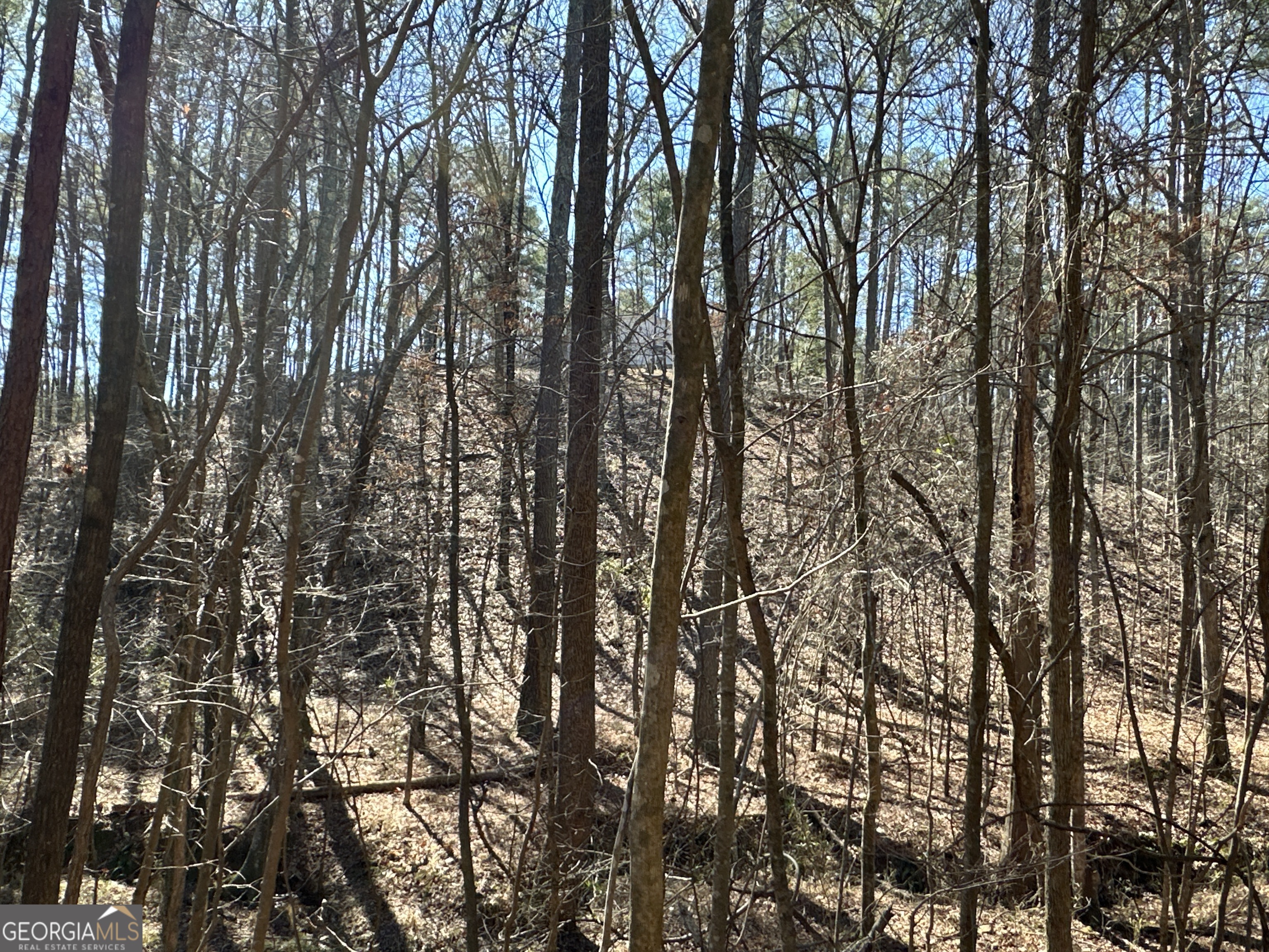 3472 Prior Station Road Cedartown GA 30125