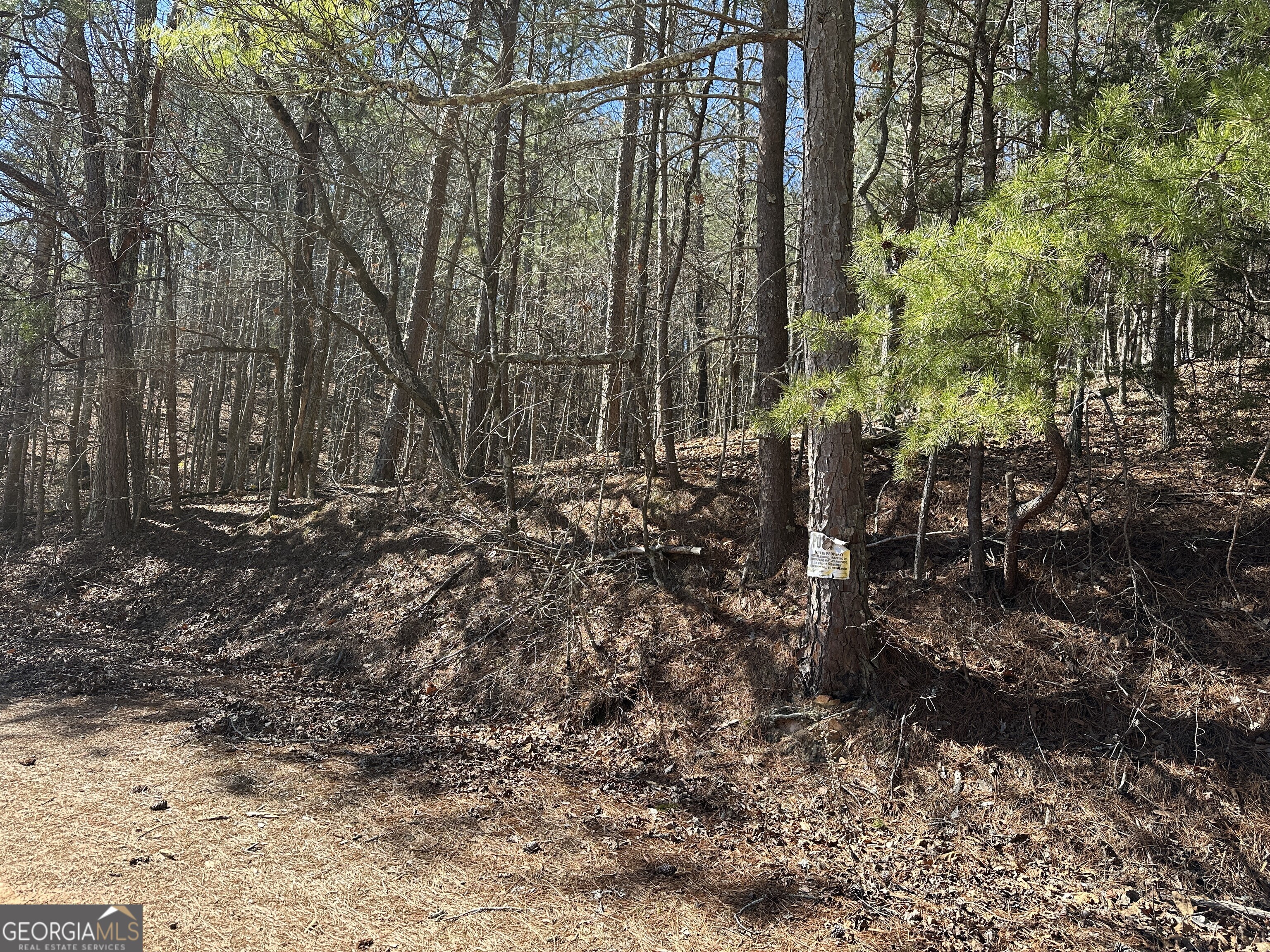 3472 Prior Station Road Cedartown GA 30125