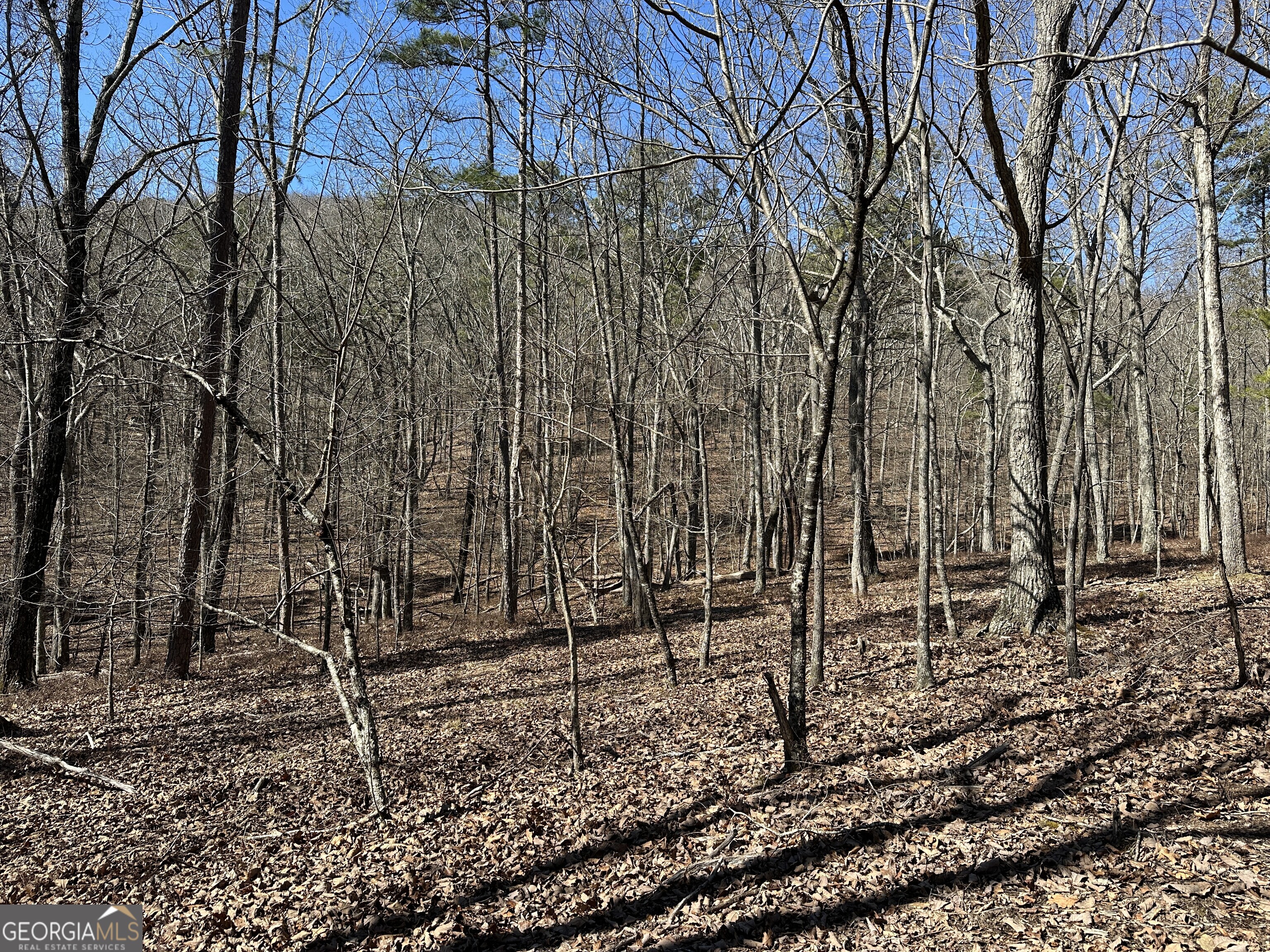 3472 Prior Station Road Cedartown GA 30125