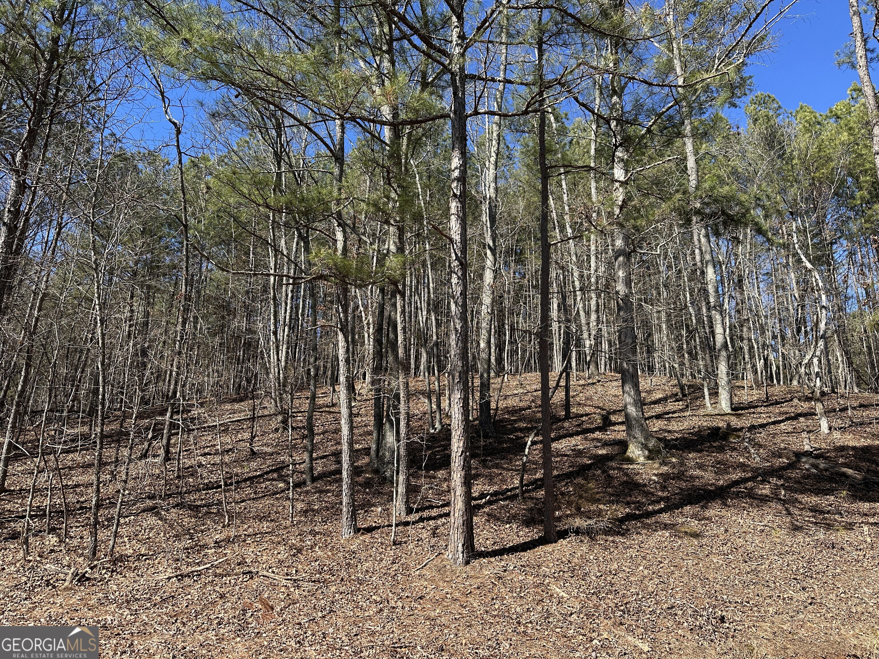 3472 Prior Station Road Cedartown GA 30125