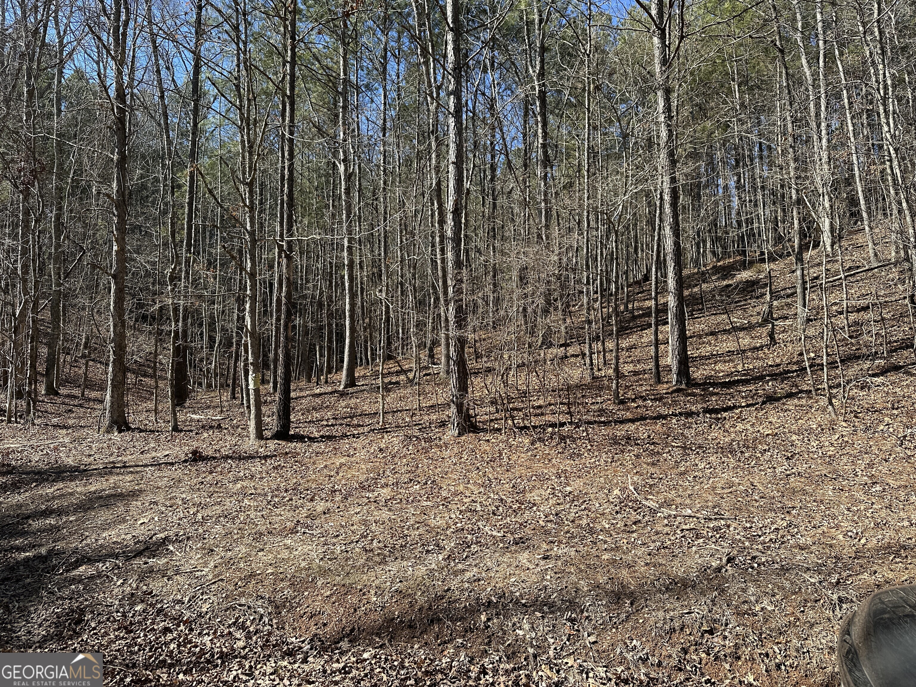 3472 Prior Station Road Cedartown GA 30125