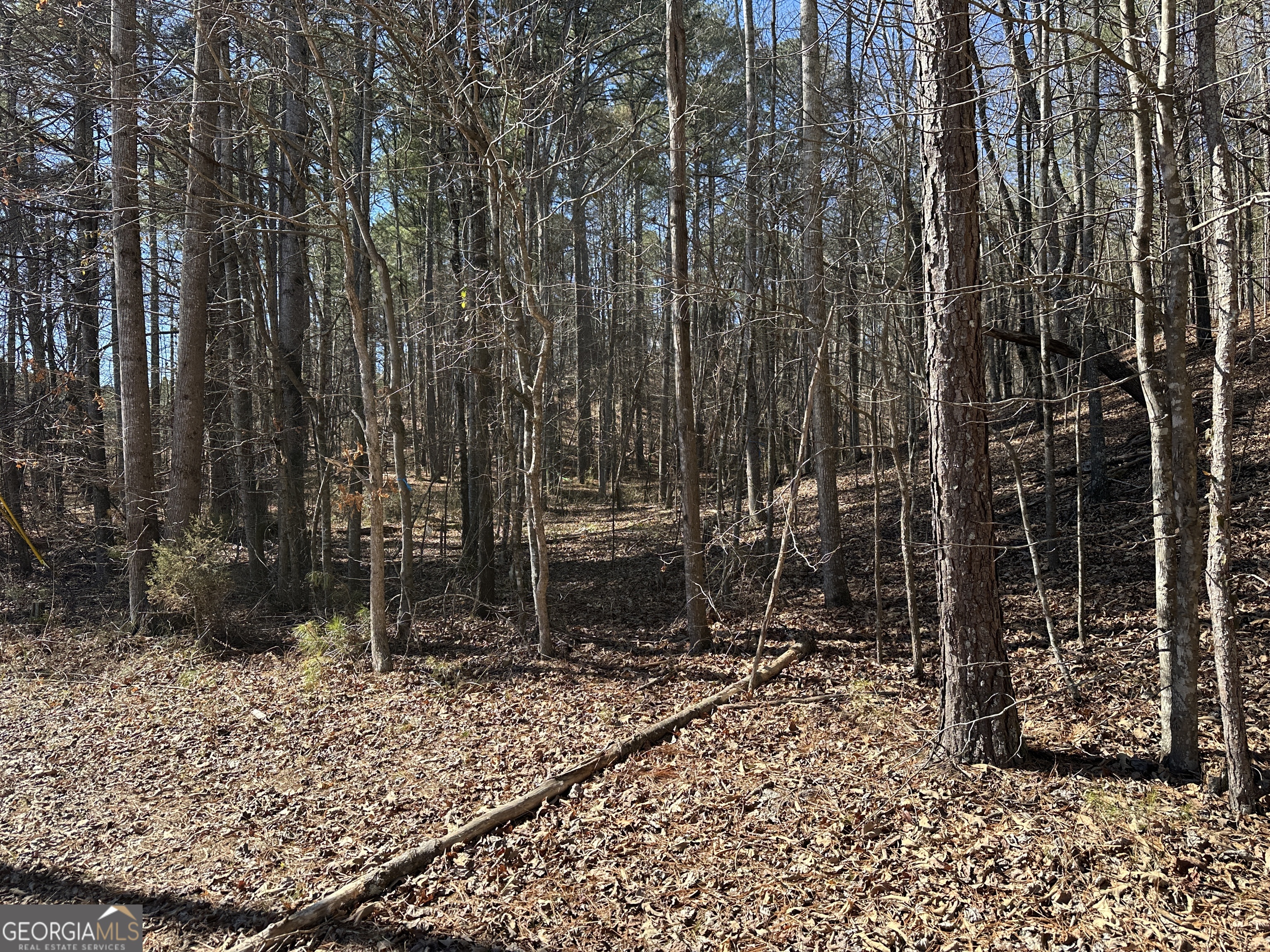 3472 Prior Station Road Cedartown GA 30125