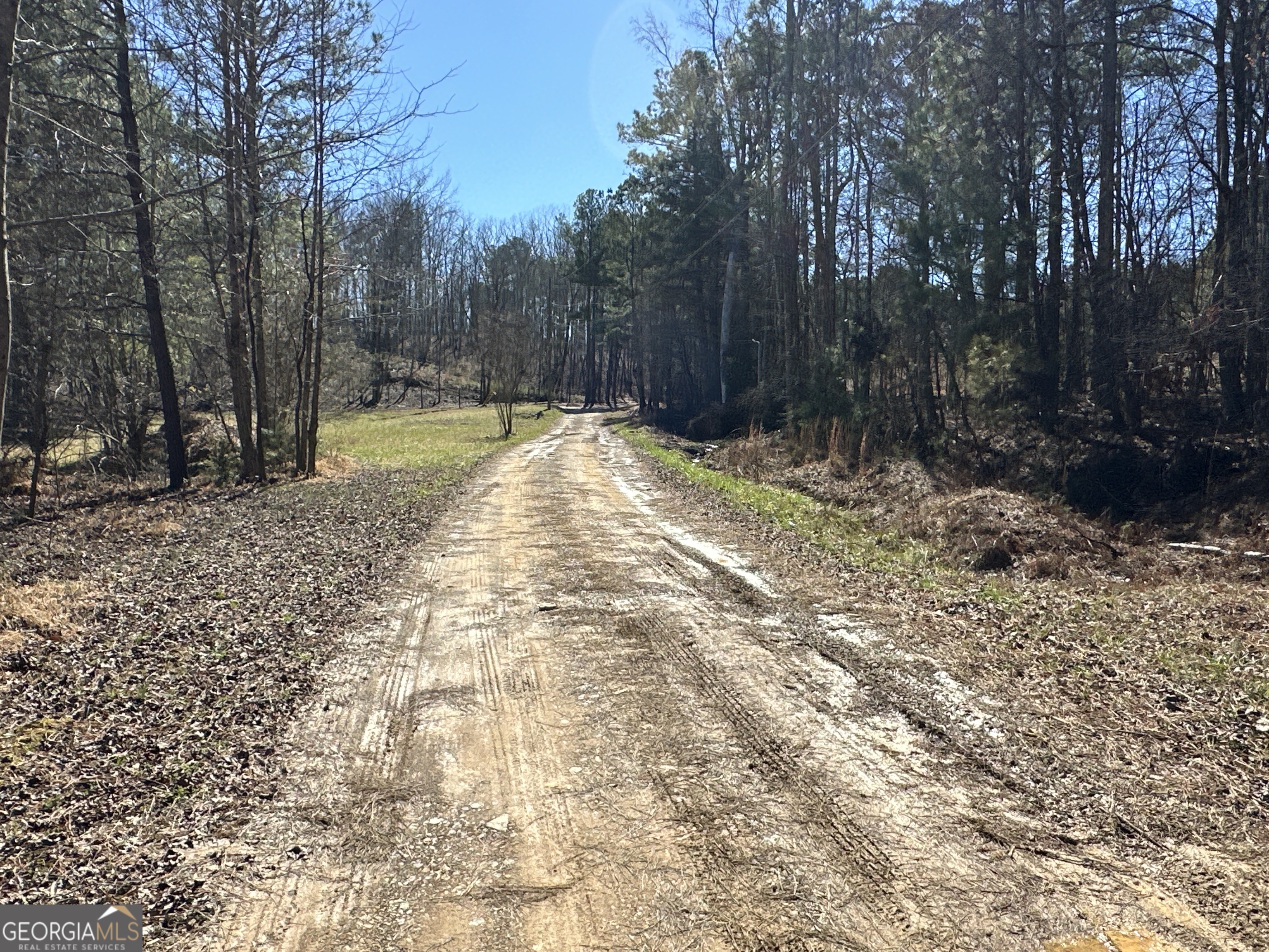 3472 Prior Station Road Cedartown GA 30125