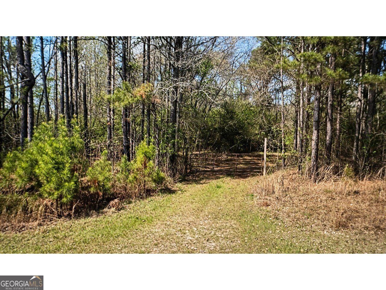 0 Powell Church Road Talbotton GA 31827