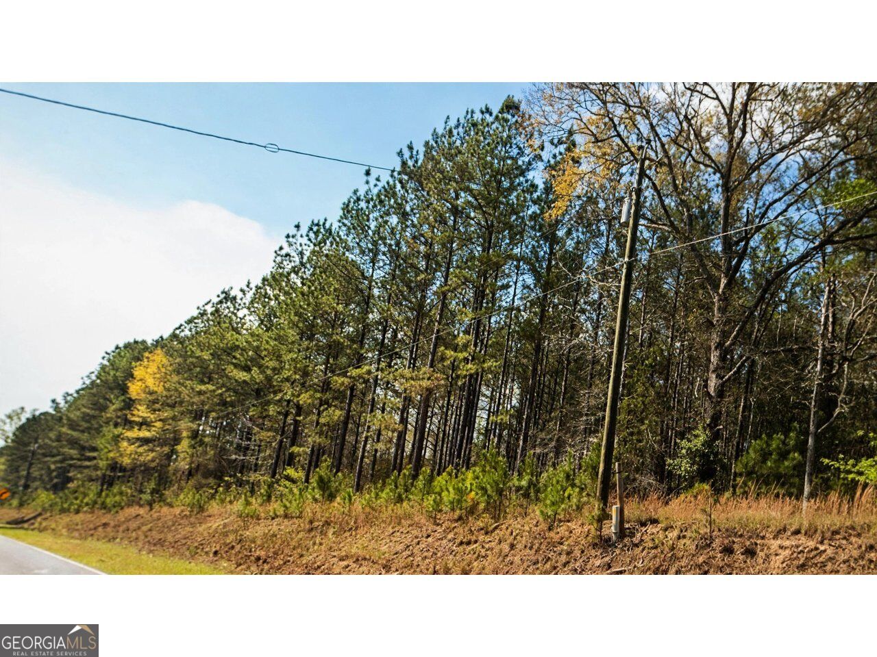 0 Powell Church Road Talbotton GA 31827