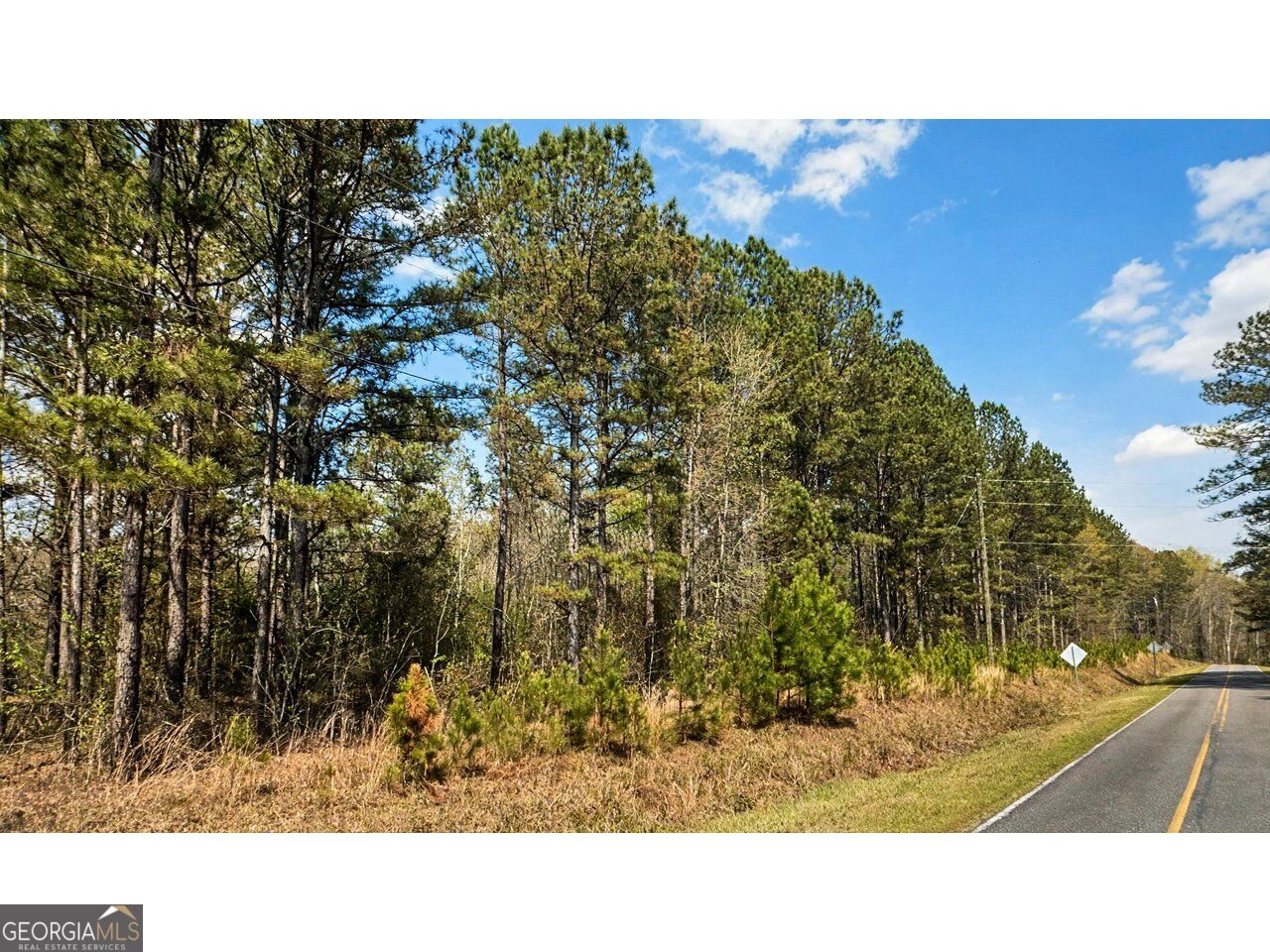 0 Powell Church Road Talbotton GA 31827