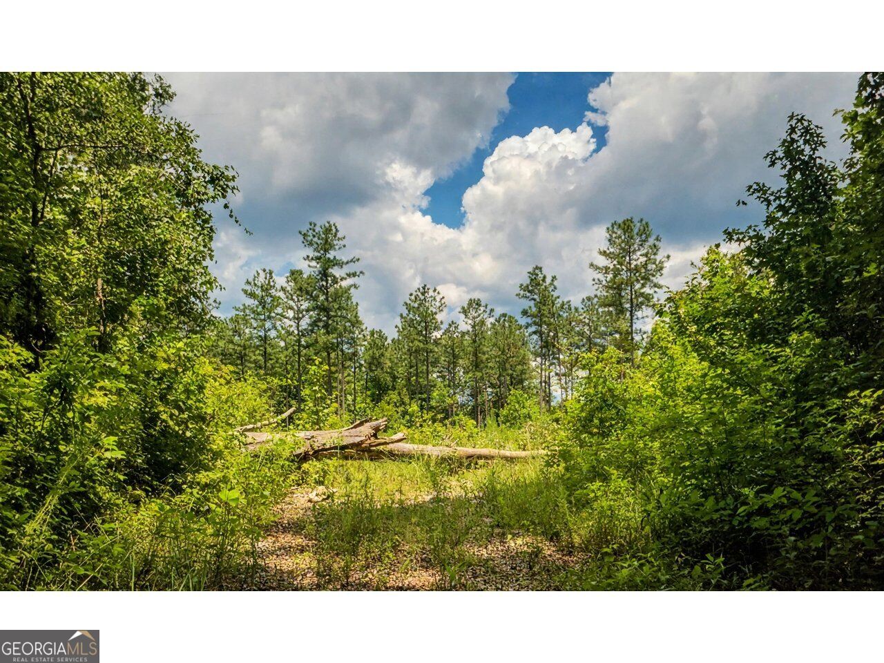 0 Powell Church Road Talbotton GA 31827