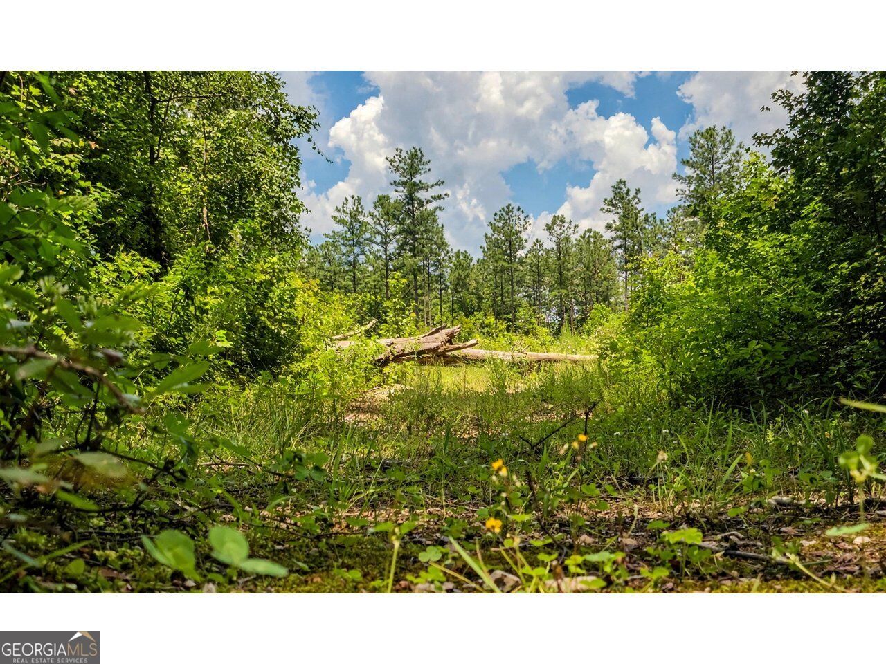 0 Powell Church Road Talbotton GA 31827