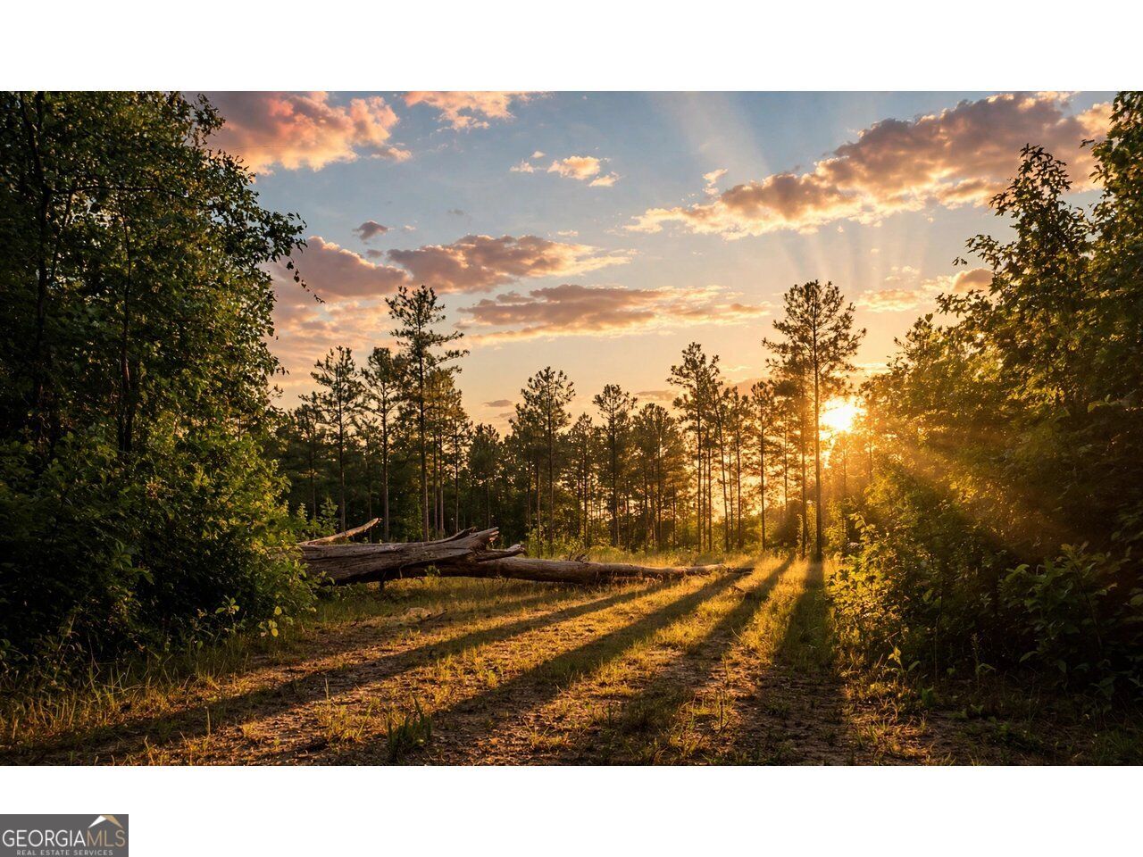 0 Powell Church Road Talbotton GA 31827