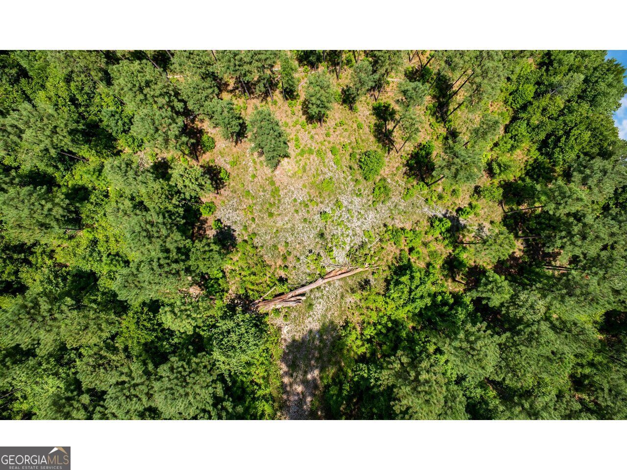 0 Powell Church Road Talbotton GA 31827