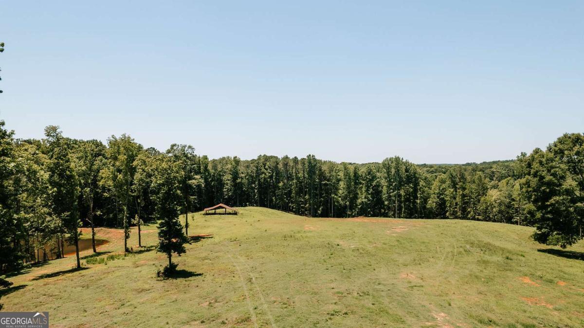 0 Mitchell Farm Road Colbert GA 30628