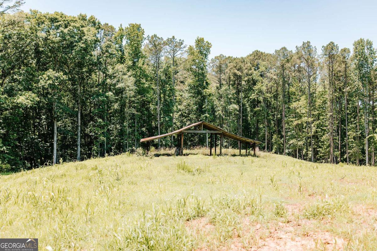 0 Mitchell Farm Road Colbert GA 30628