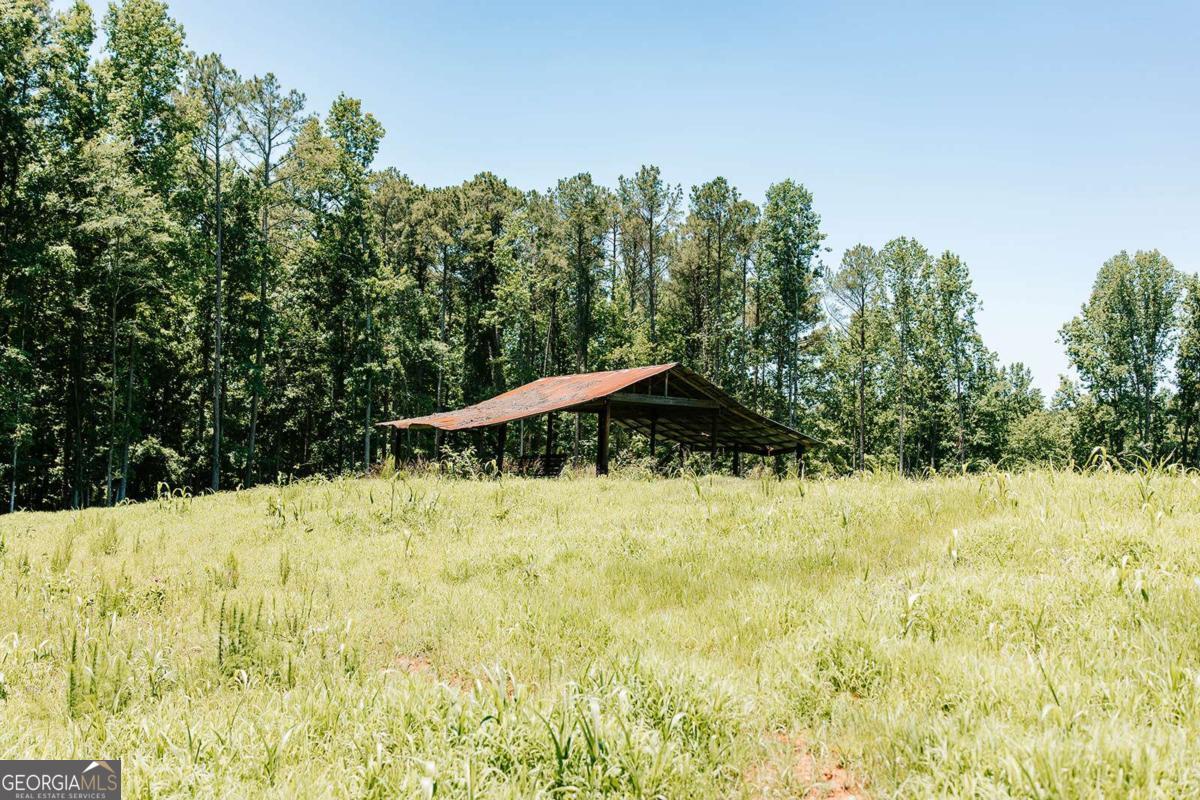 0 Mitchell Farm Road Colbert GA 30628