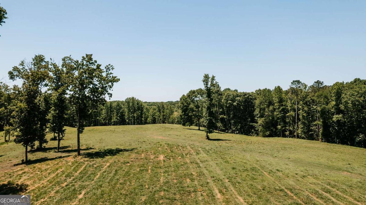 0 Mitchell Farm Road Colbert GA 30628