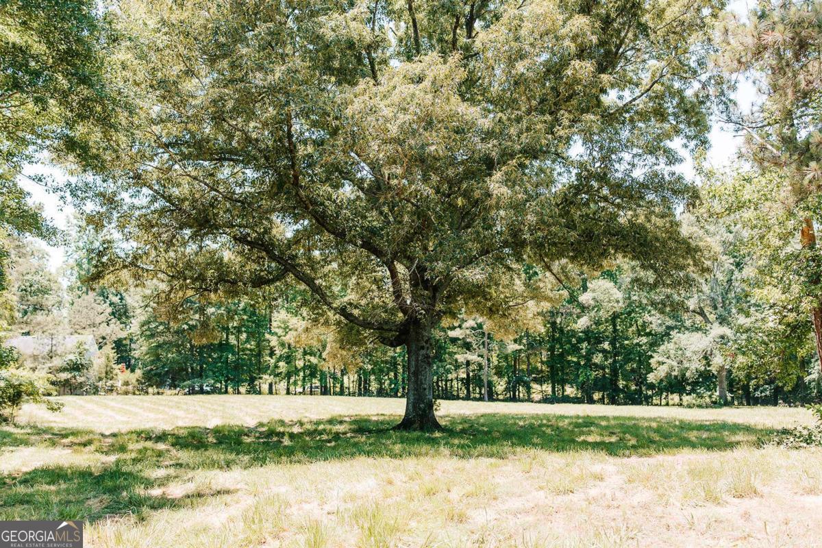 0 Mitchell Farm Road Colbert GA 30628