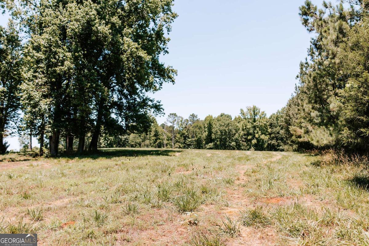 0 Mitchell Farm Road Colbert GA 30628