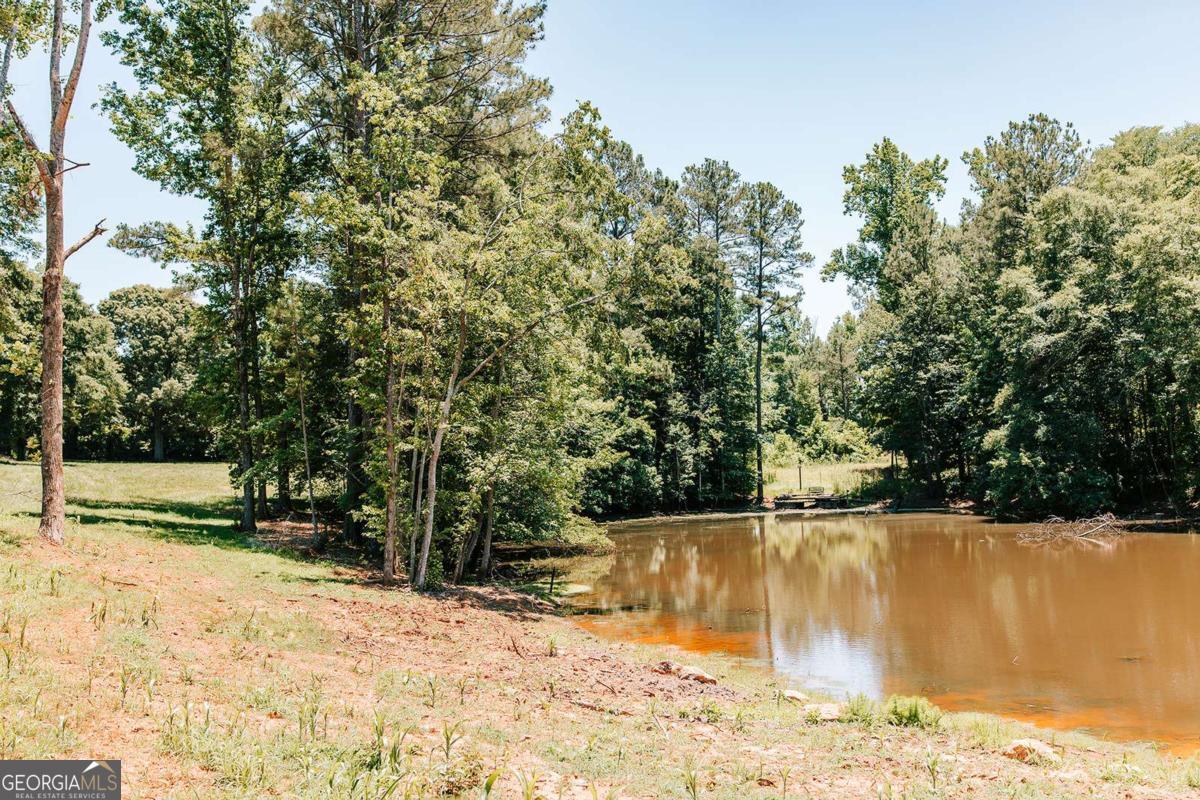 0 Mitchell Farm Road Colbert GA 30628