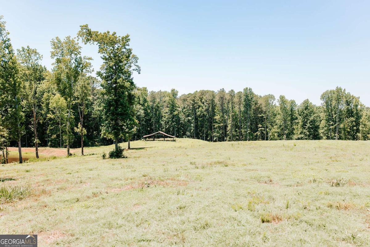0 Mitchell Farm Road Colbert GA 30628