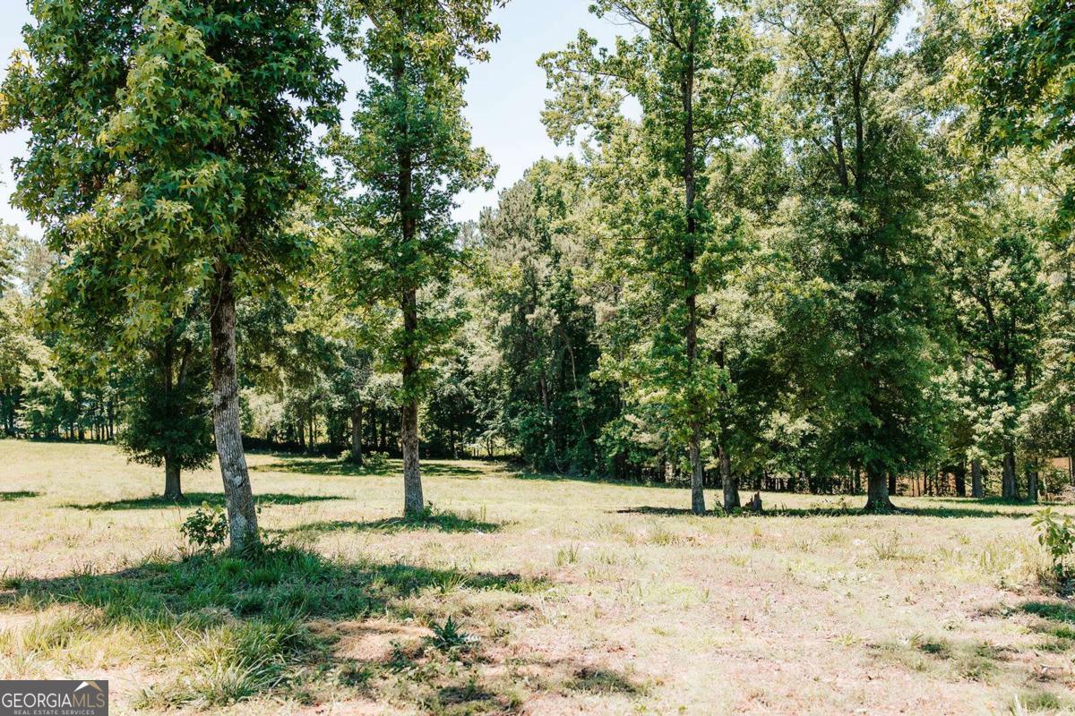 0 Mitchell Farm Road Colbert GA 30628