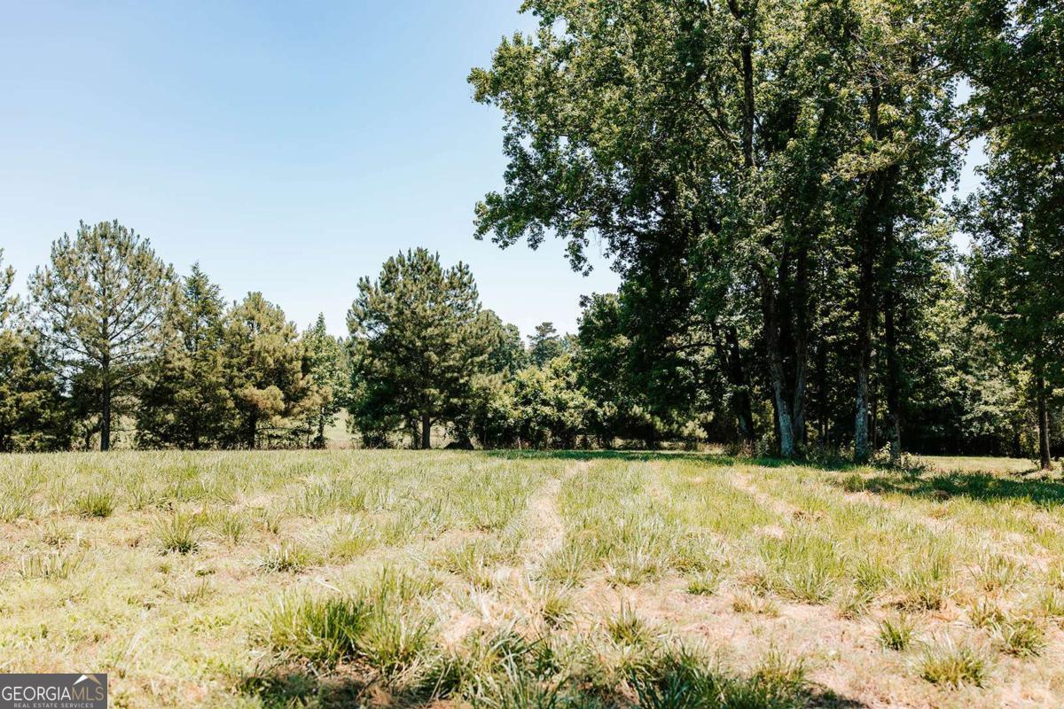 0 Mitchell Farm Road Colbert GA 30628