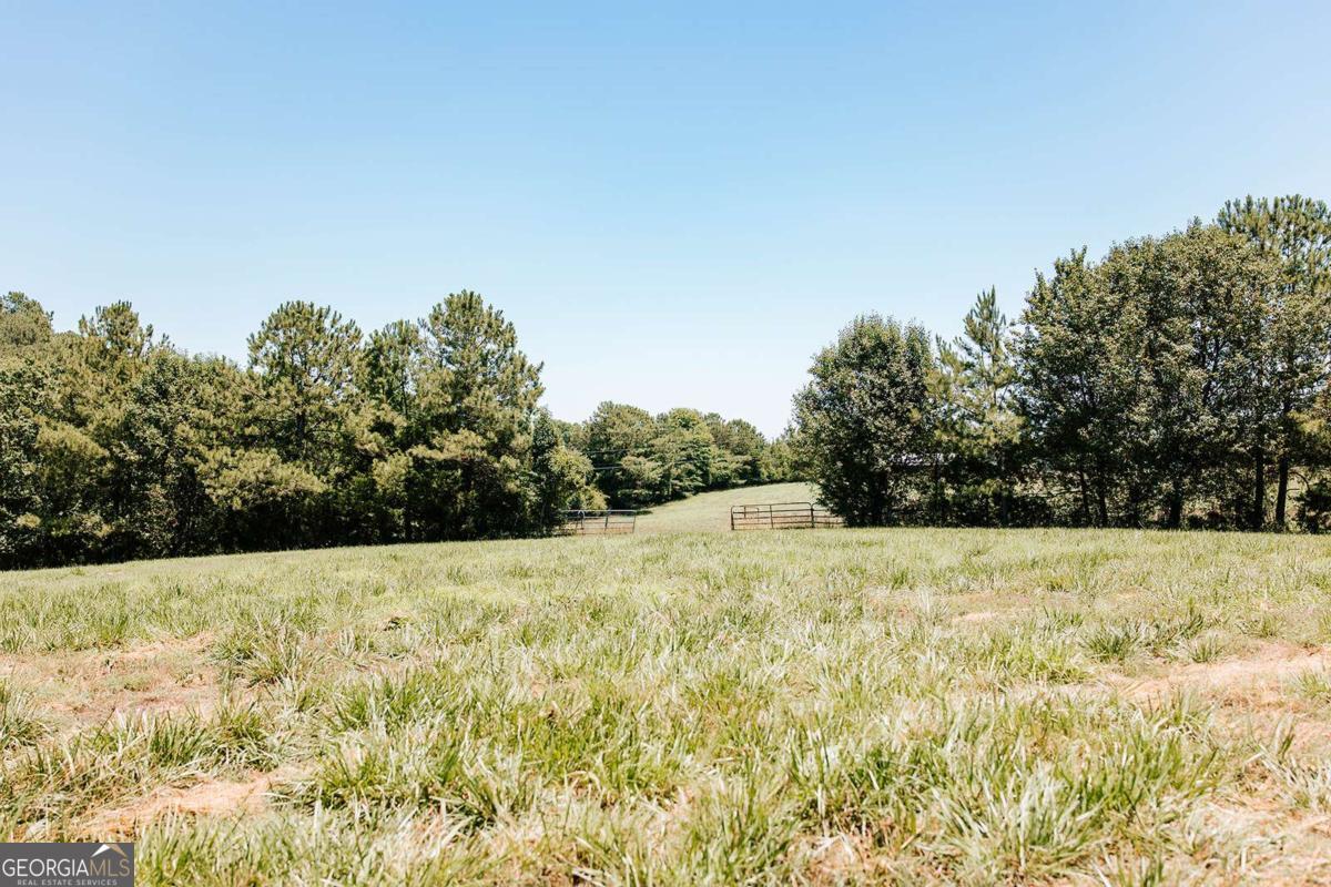 0 Mitchell Farm Road Colbert GA 30628