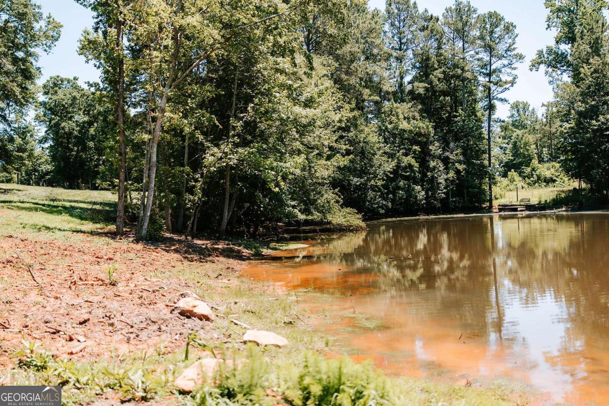 0 Mitchell Farm Road Colbert GA 30628