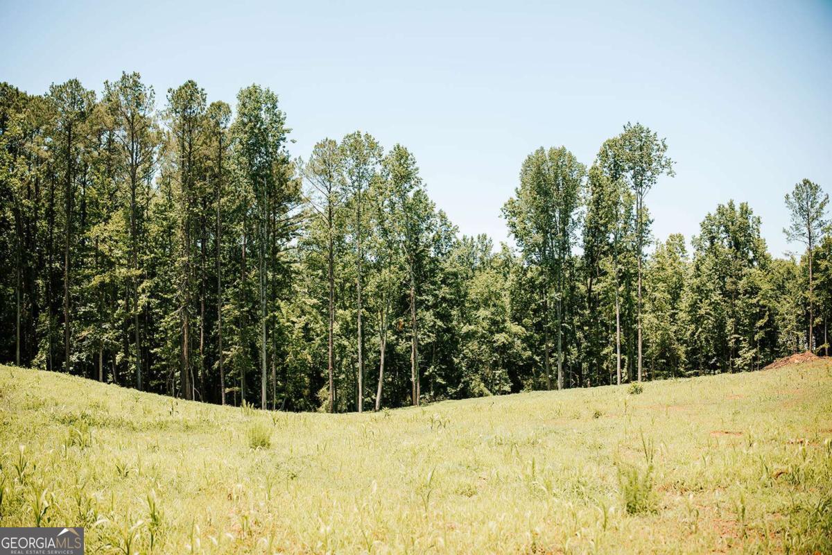 0 Mitchell Farm Road Colbert GA 30628