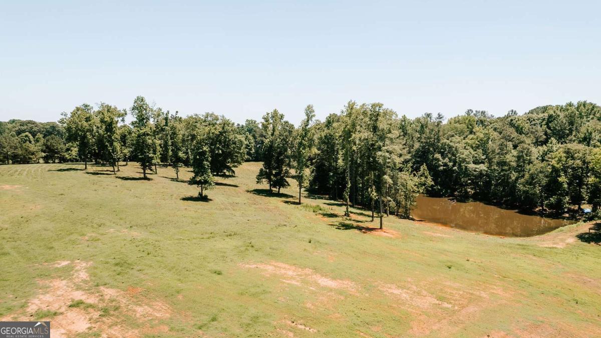 0 Mitchell Farm Road Colbert GA 30628
