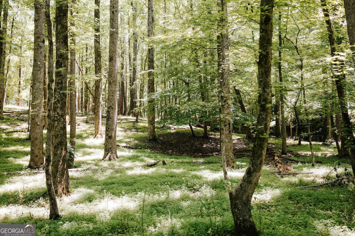 0 Mitchell Farm Road Colbert GA 30628