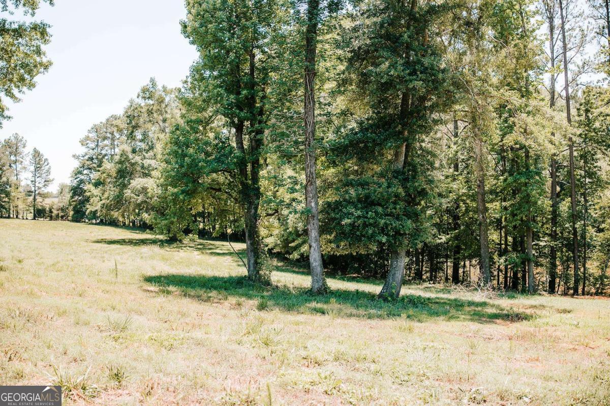0 Mitchell Farm Road Colbert GA 30628