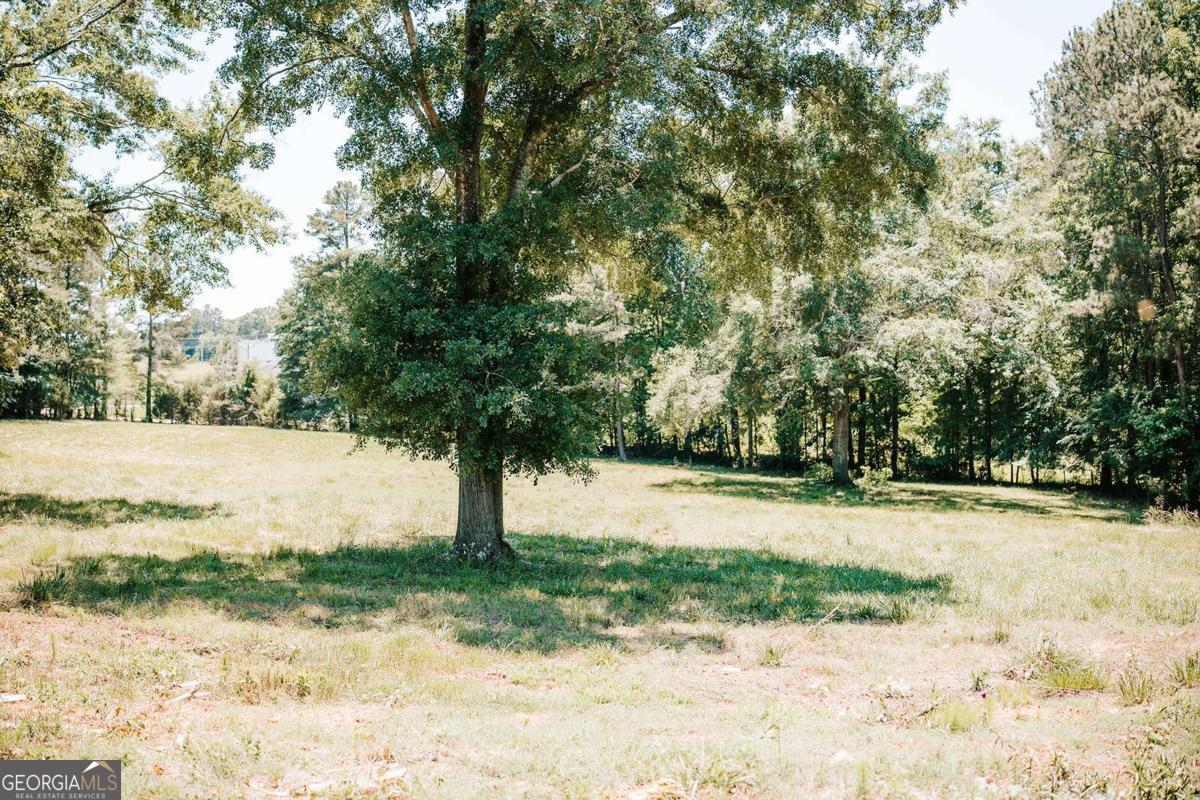 0 Mitchell Farm Road Colbert GA 30628