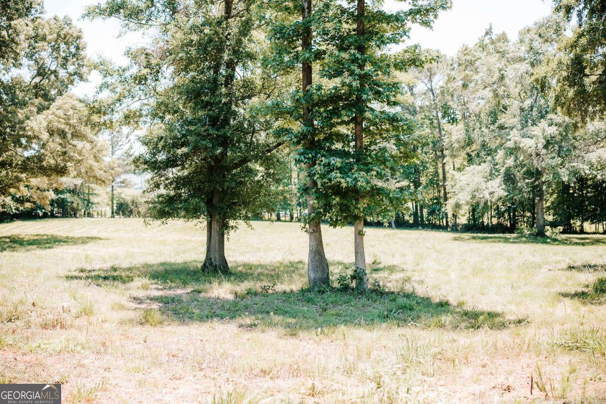 0 Mitchell Farm Road Colbert GA 30628
